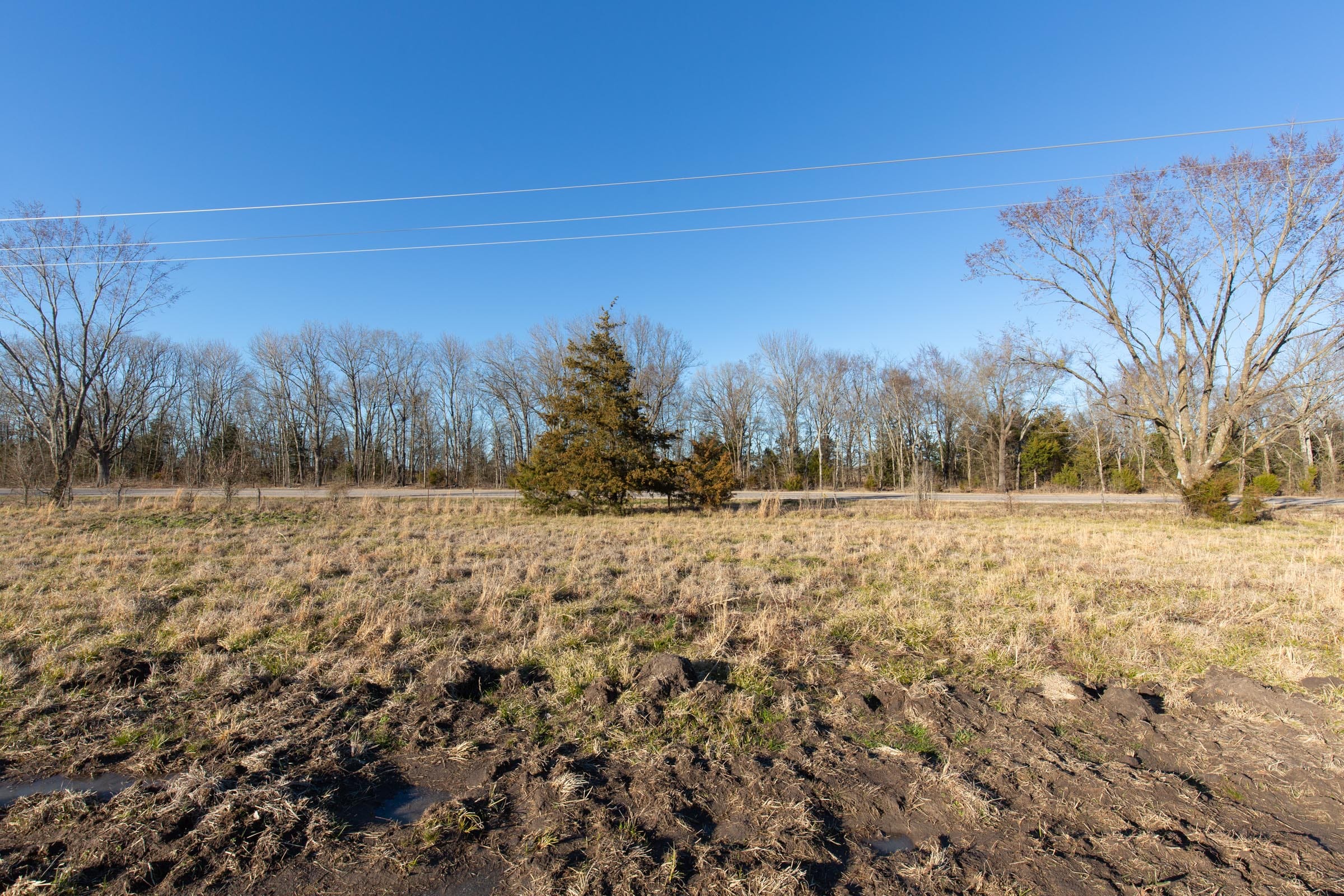 Wishing Star Ranch Tract 13 photo 4