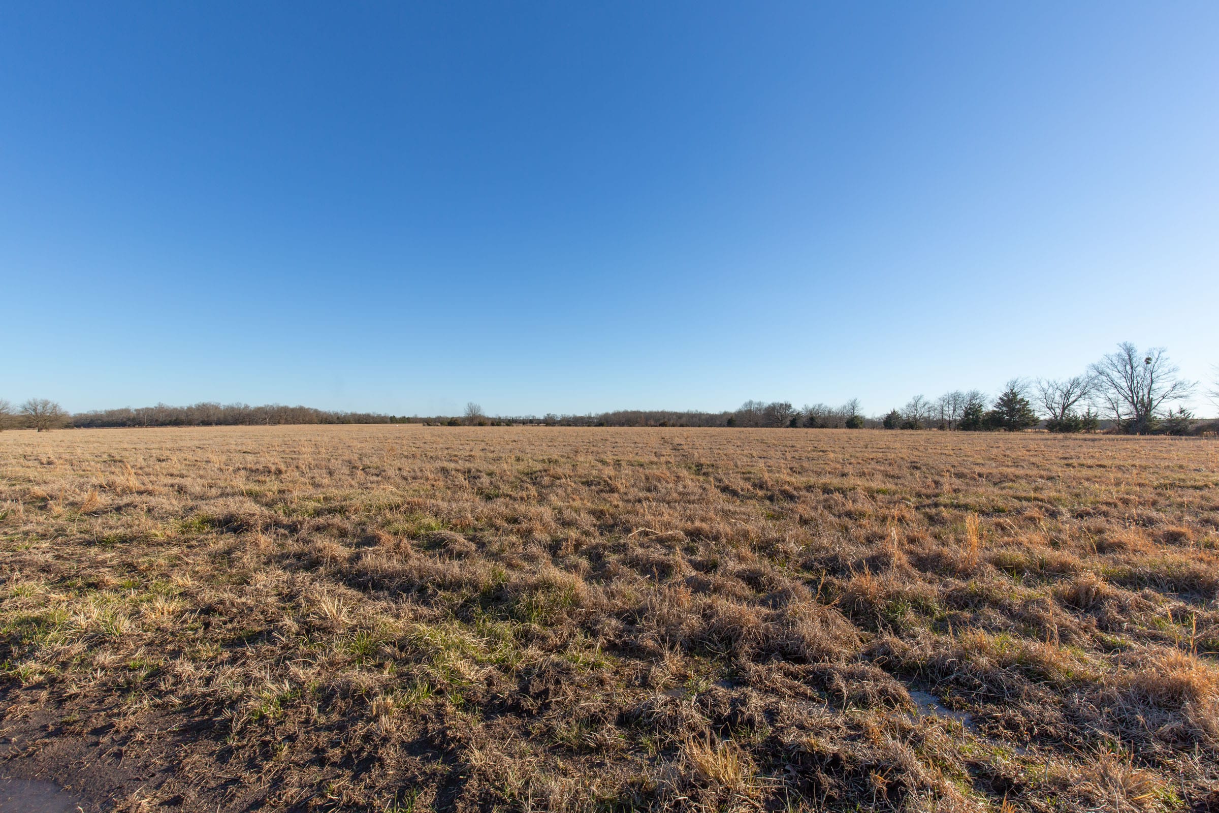 Wishing Star Ranch Tract 13 photo 5