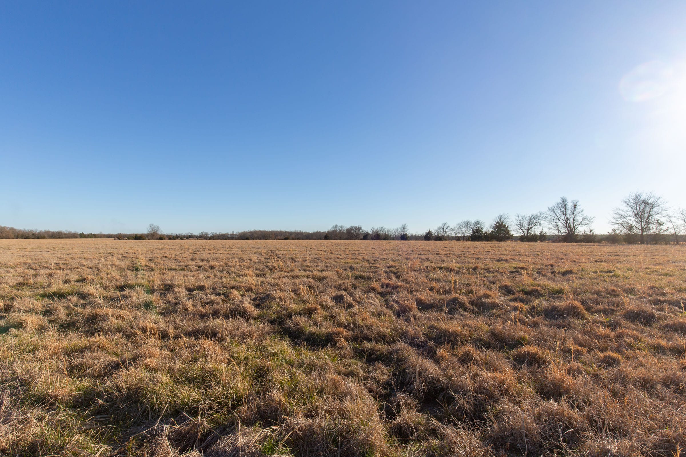 Wishing Star Ranch Tract 13 photo 6