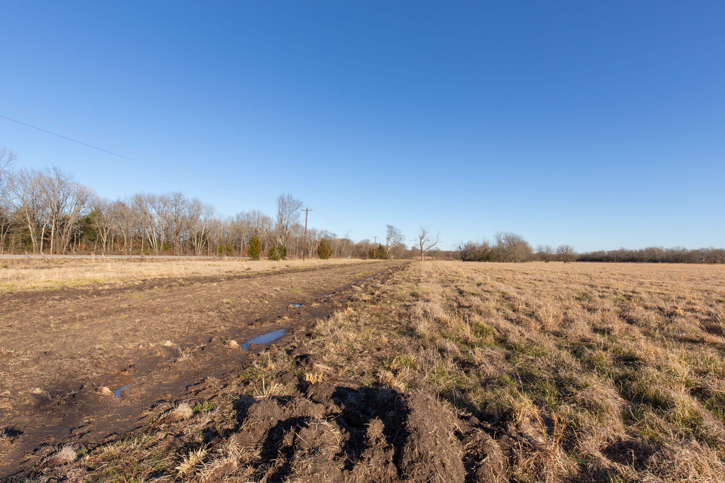 Wishing Star Ranch Tract 13 photo 8
