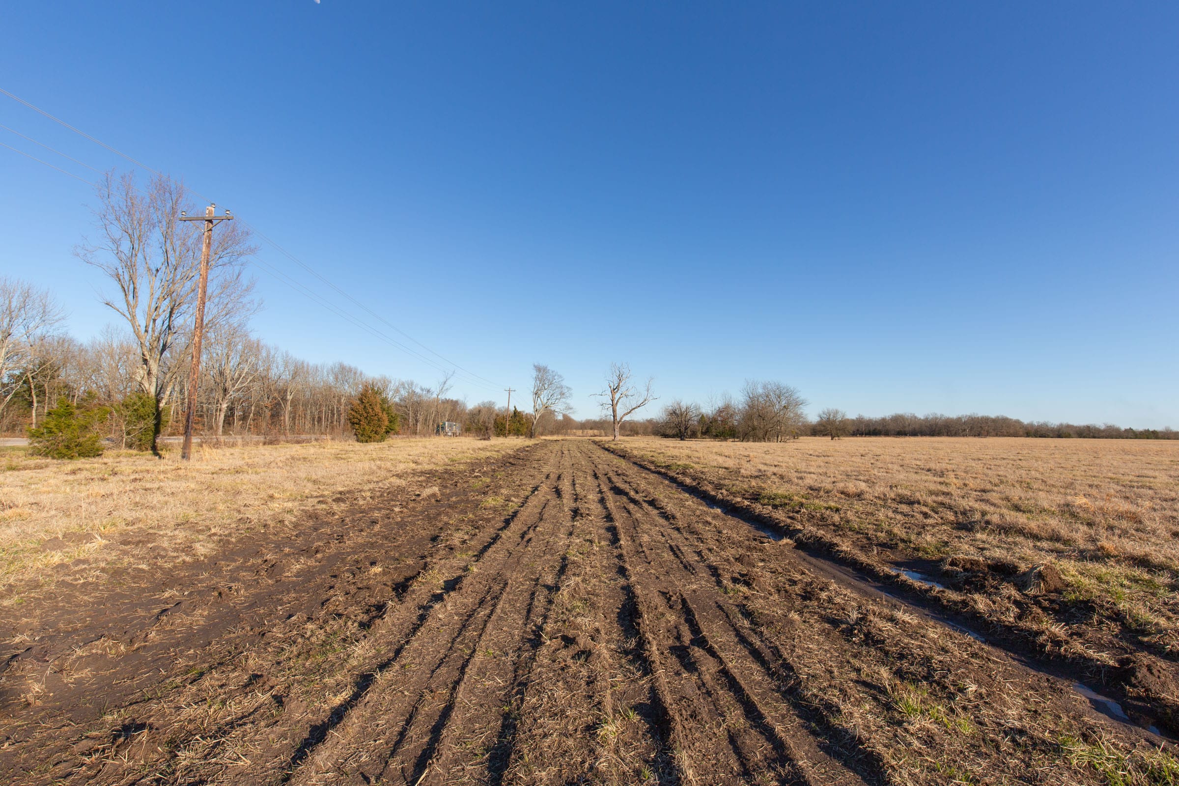 Wishing Star Ranch Tract 13 photo 10