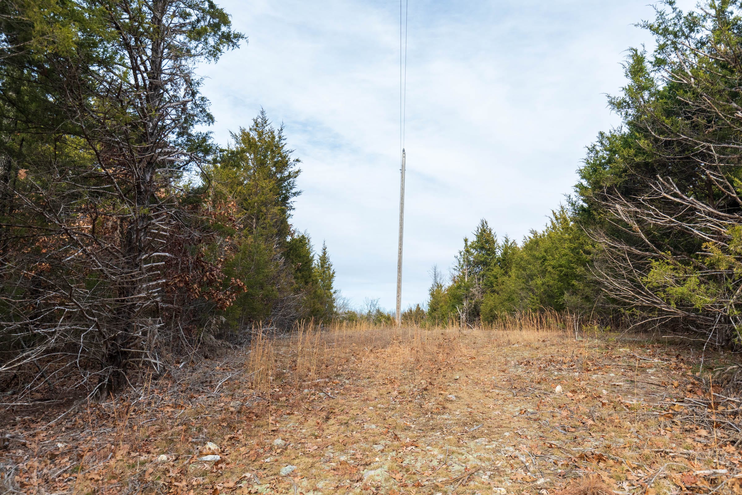 Crossroads Tract 4 photo 3