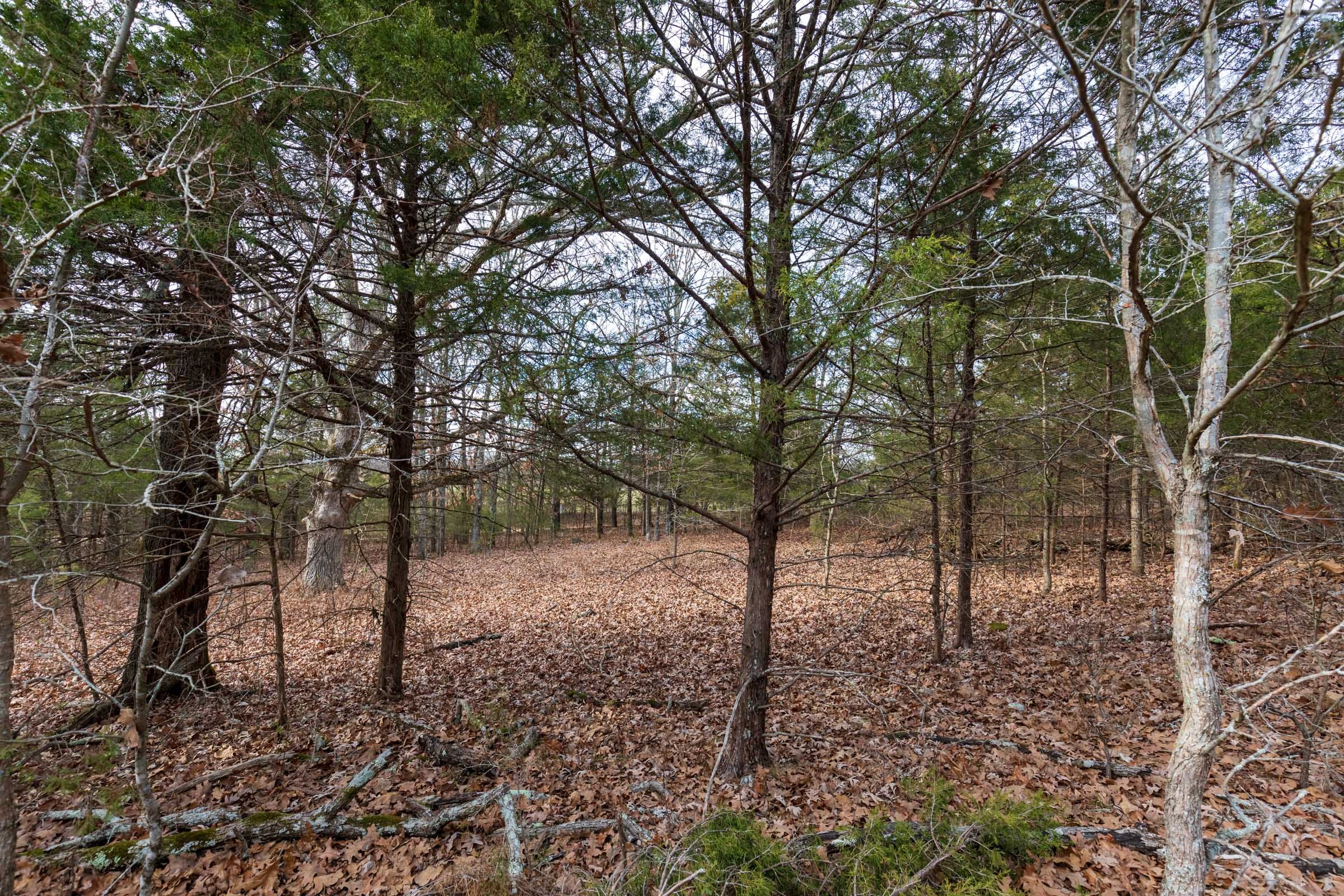 Crossroads Tract 4 photo 4