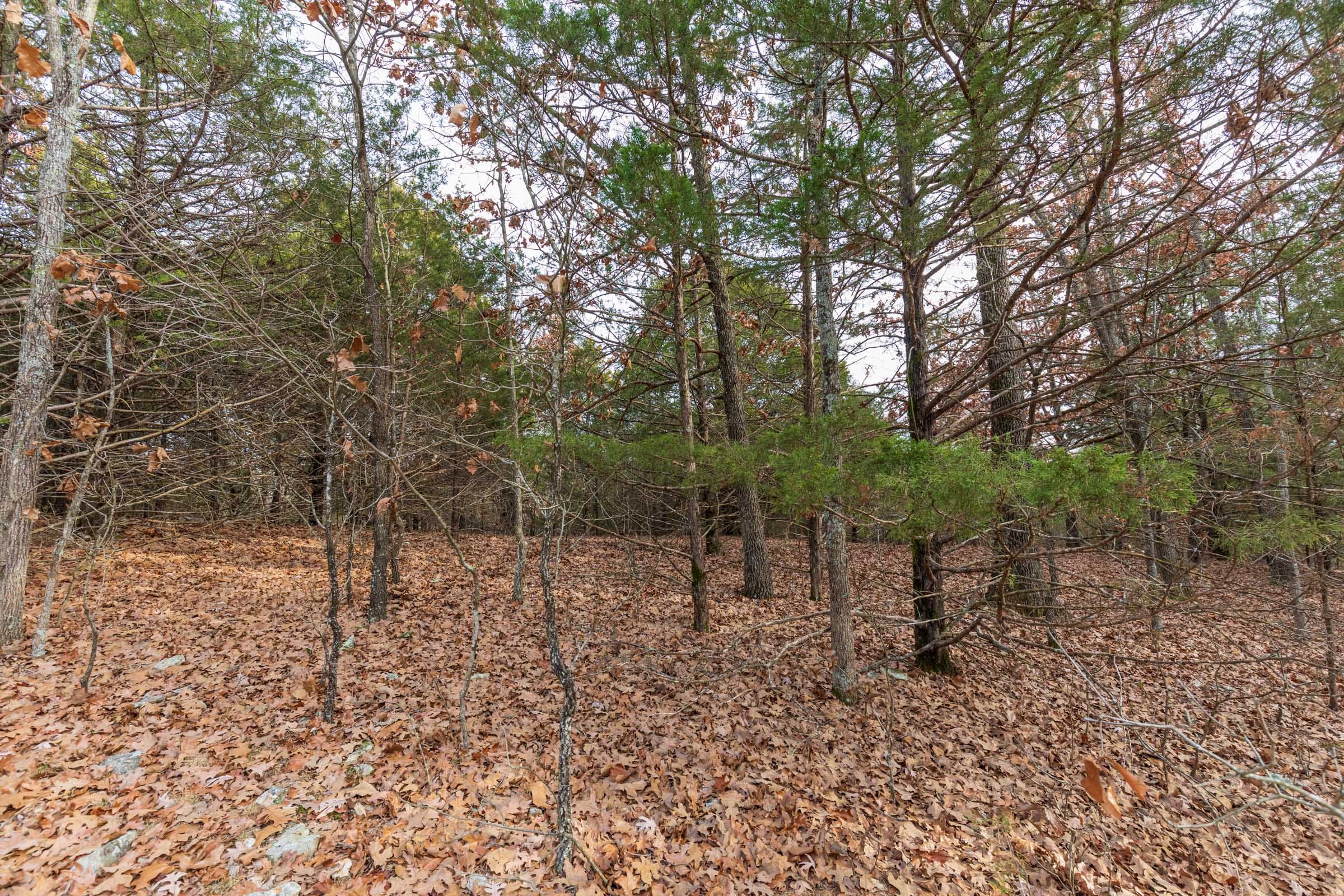 Crossroads Tract 4 photo 5