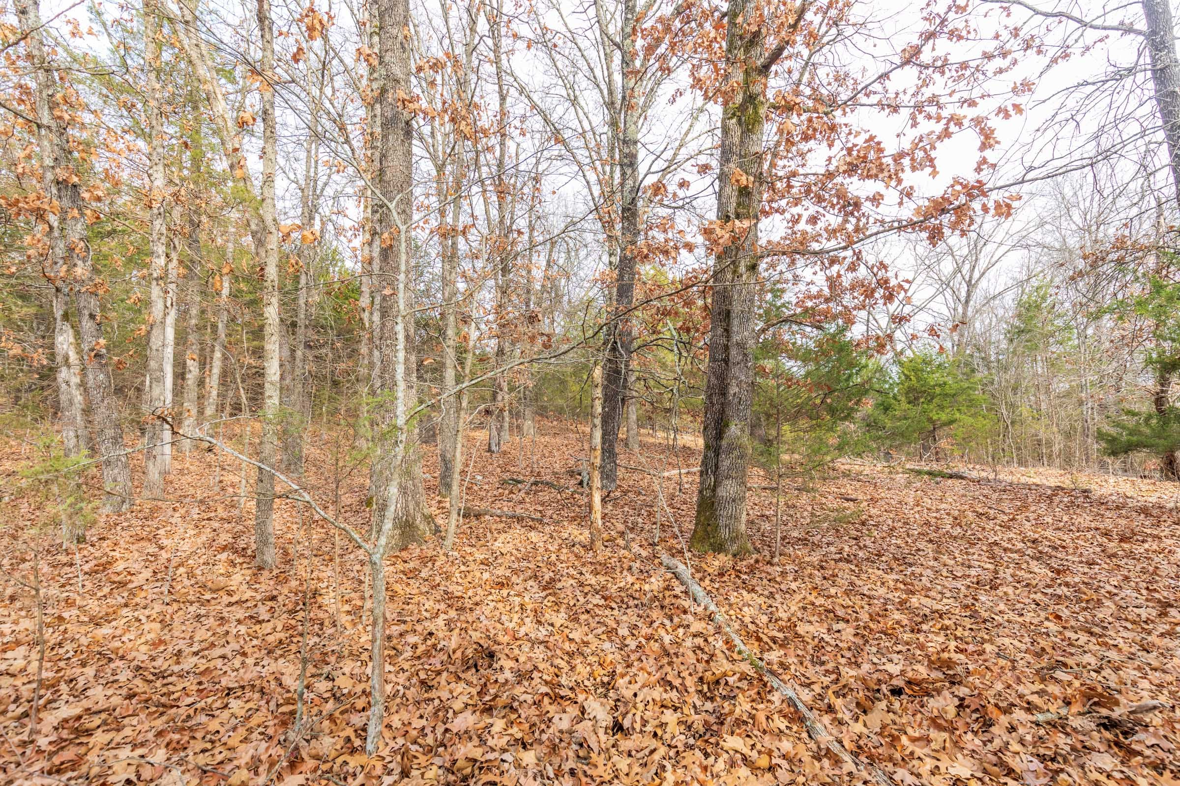 Crossroads Tract 4 photo 6