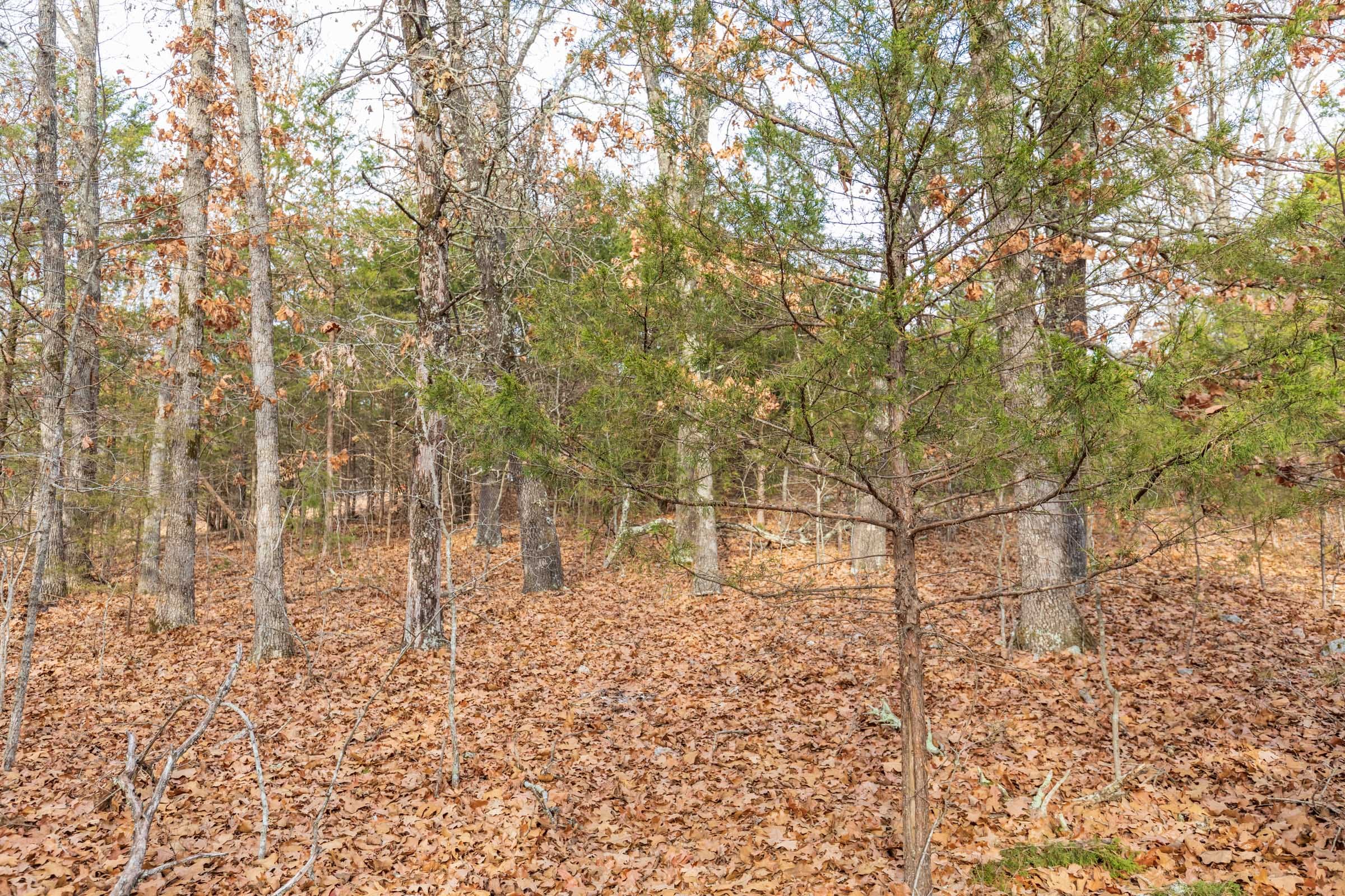 Crossroads Tract 4 photo 7
