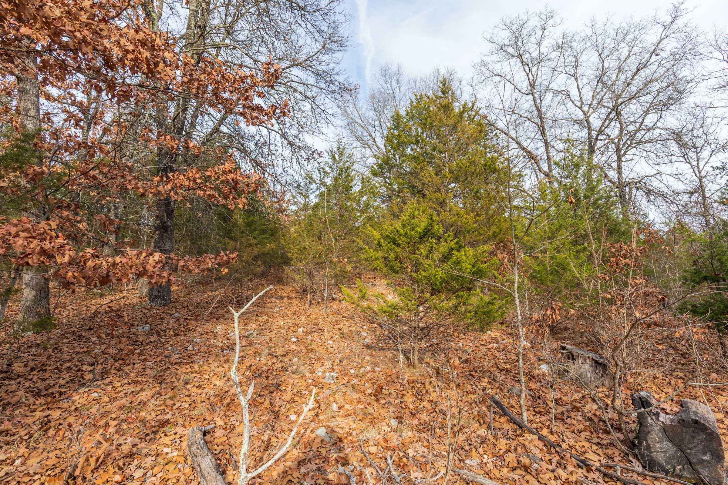 Crossroads Tract 4 photo 8