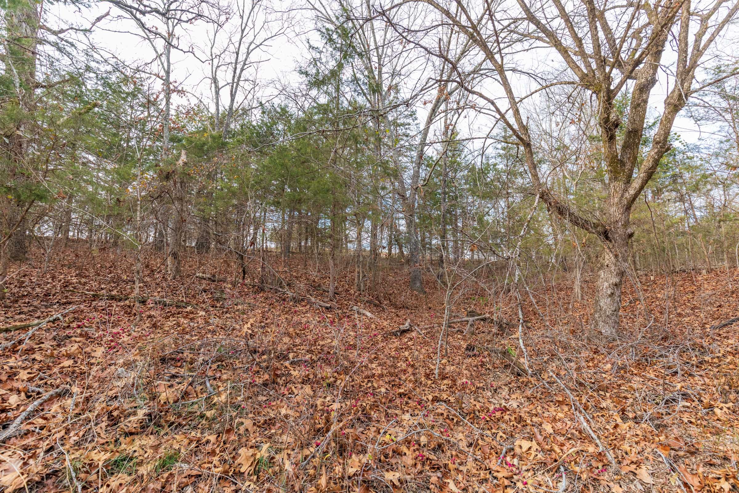 Crossroads Tract 4 photo 9