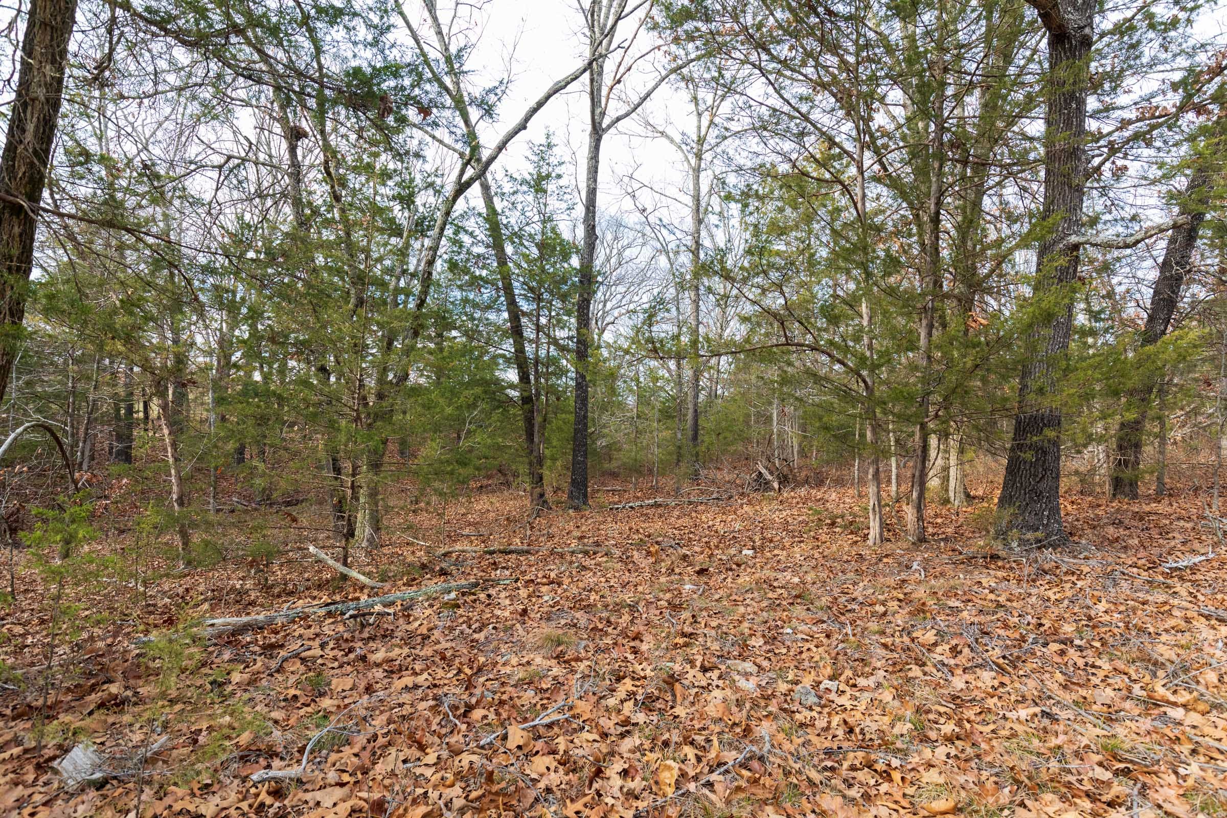 Crossroads Tract 4 photo 10