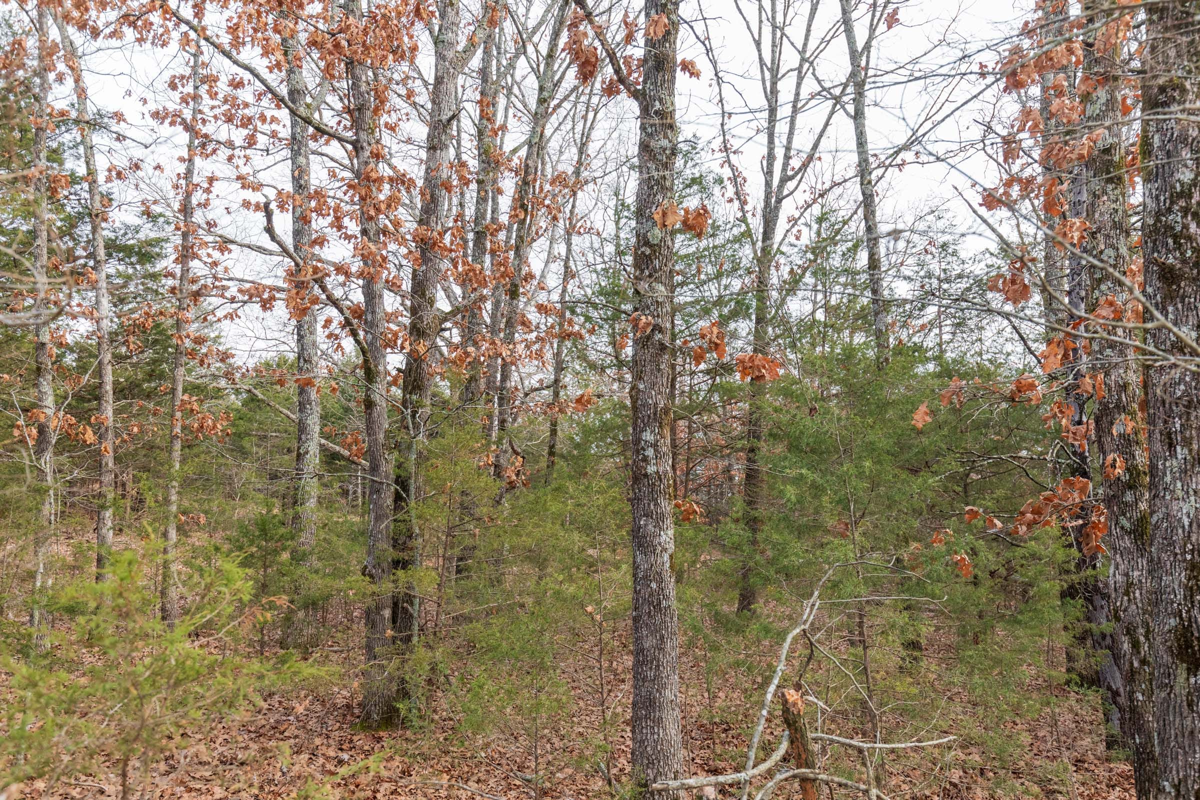 Crossroads Tract 4 photo 13