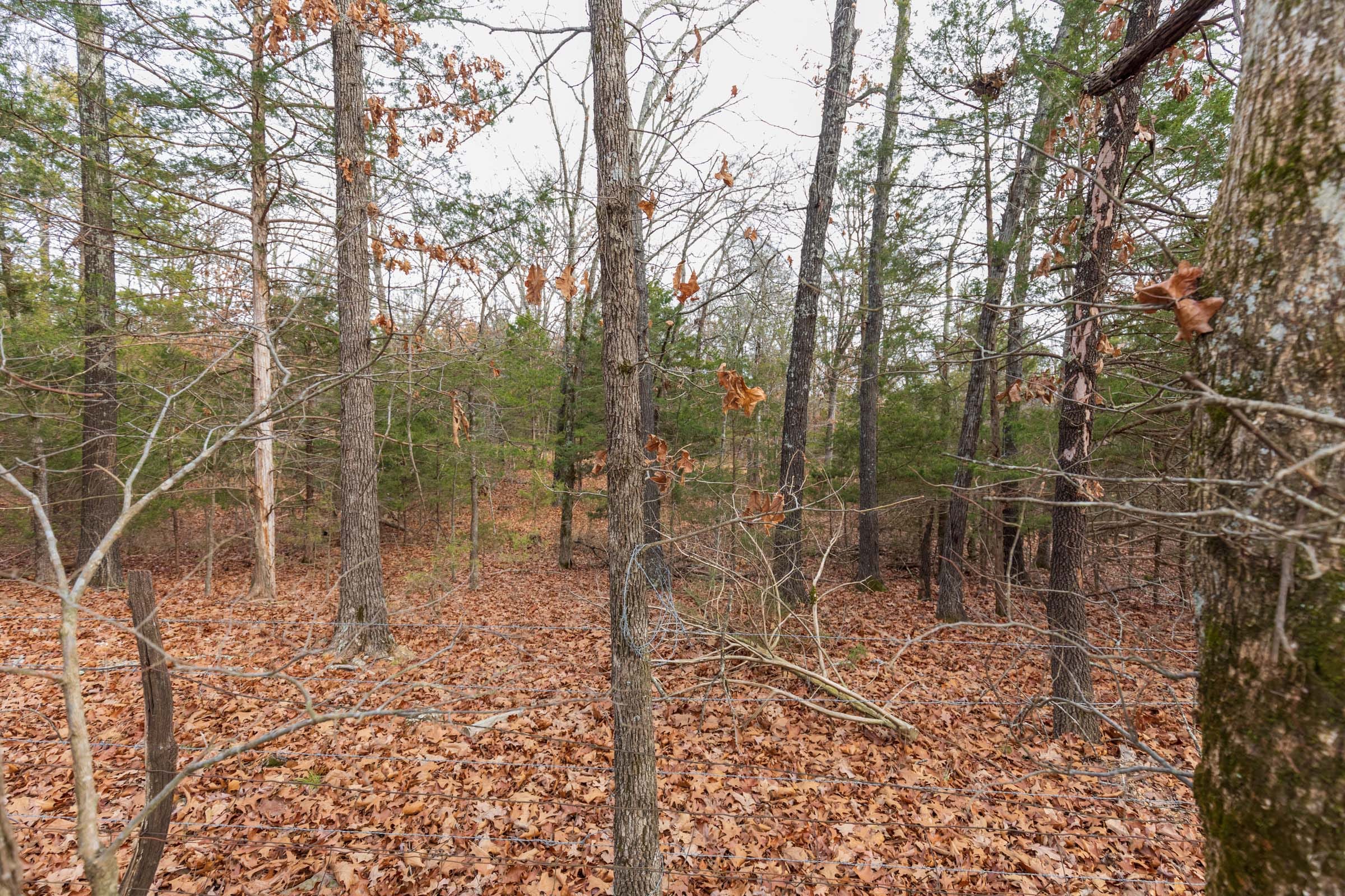 Crossroads Tract 4 photo 14