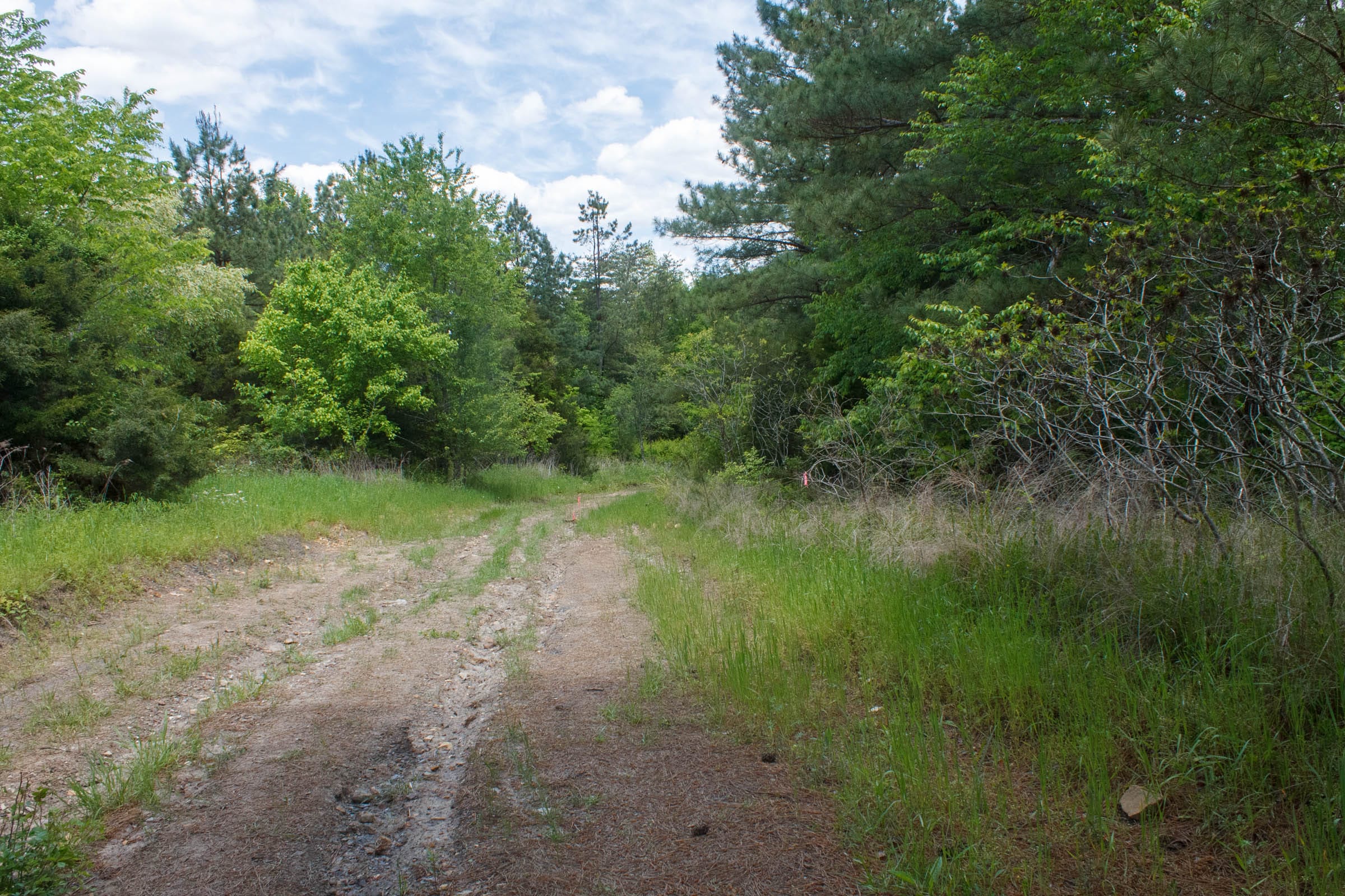 Riverbend Tract 28 photo 2