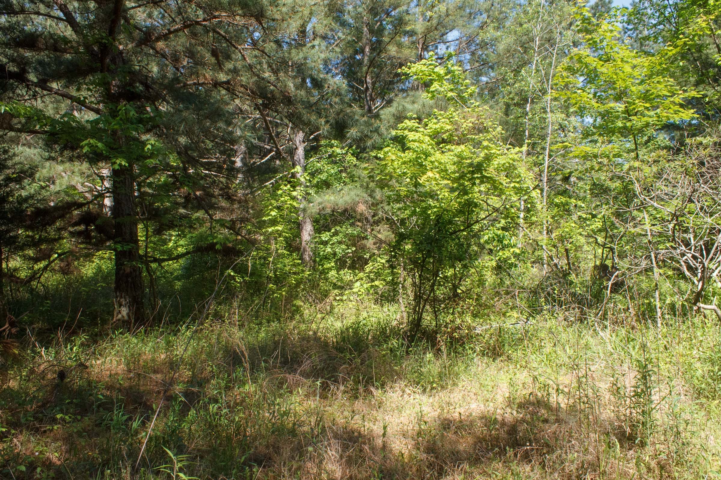 Riverbend Tract 28 photo 9