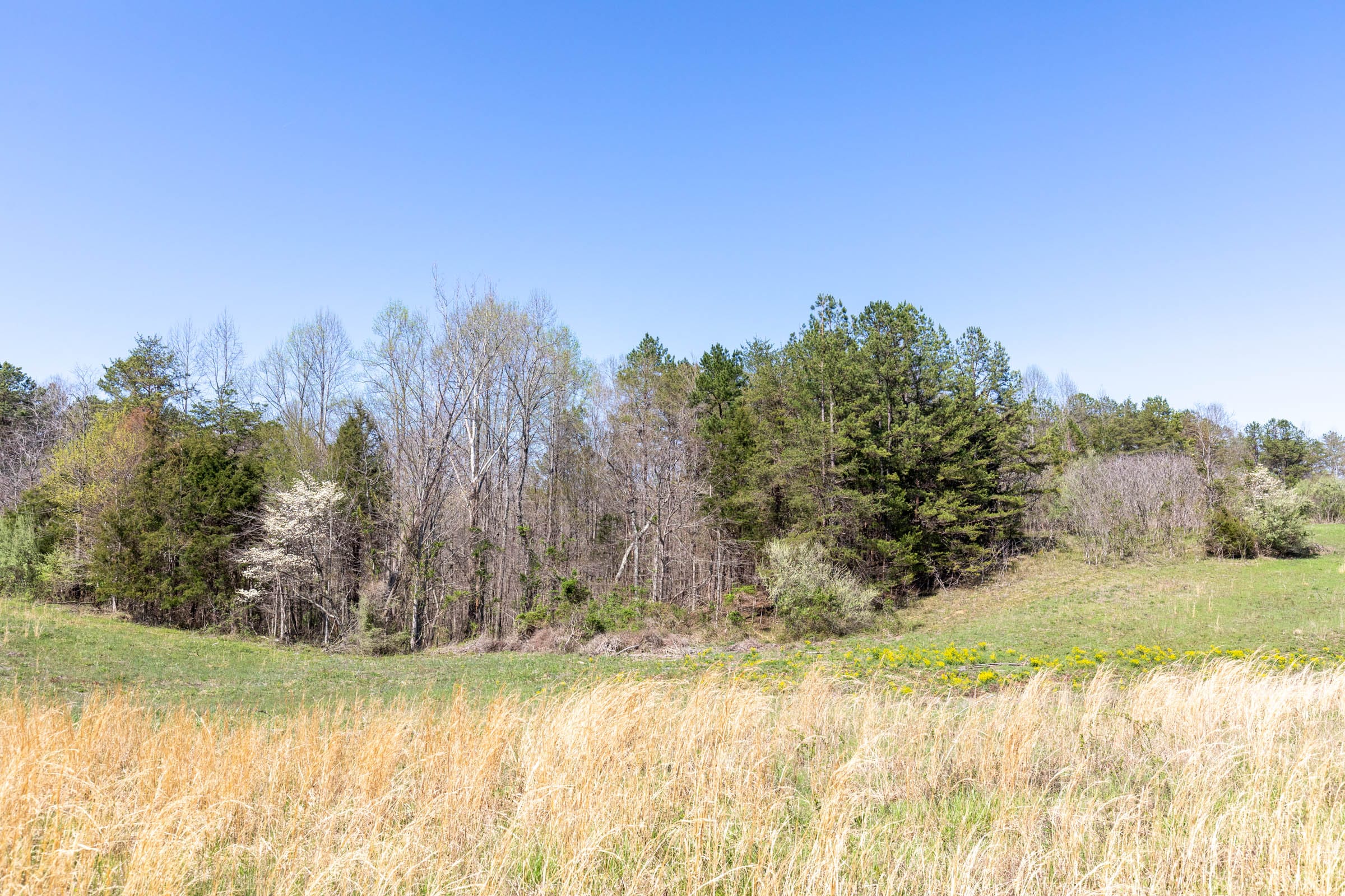 Woodland Heights Tract 16 photo 1