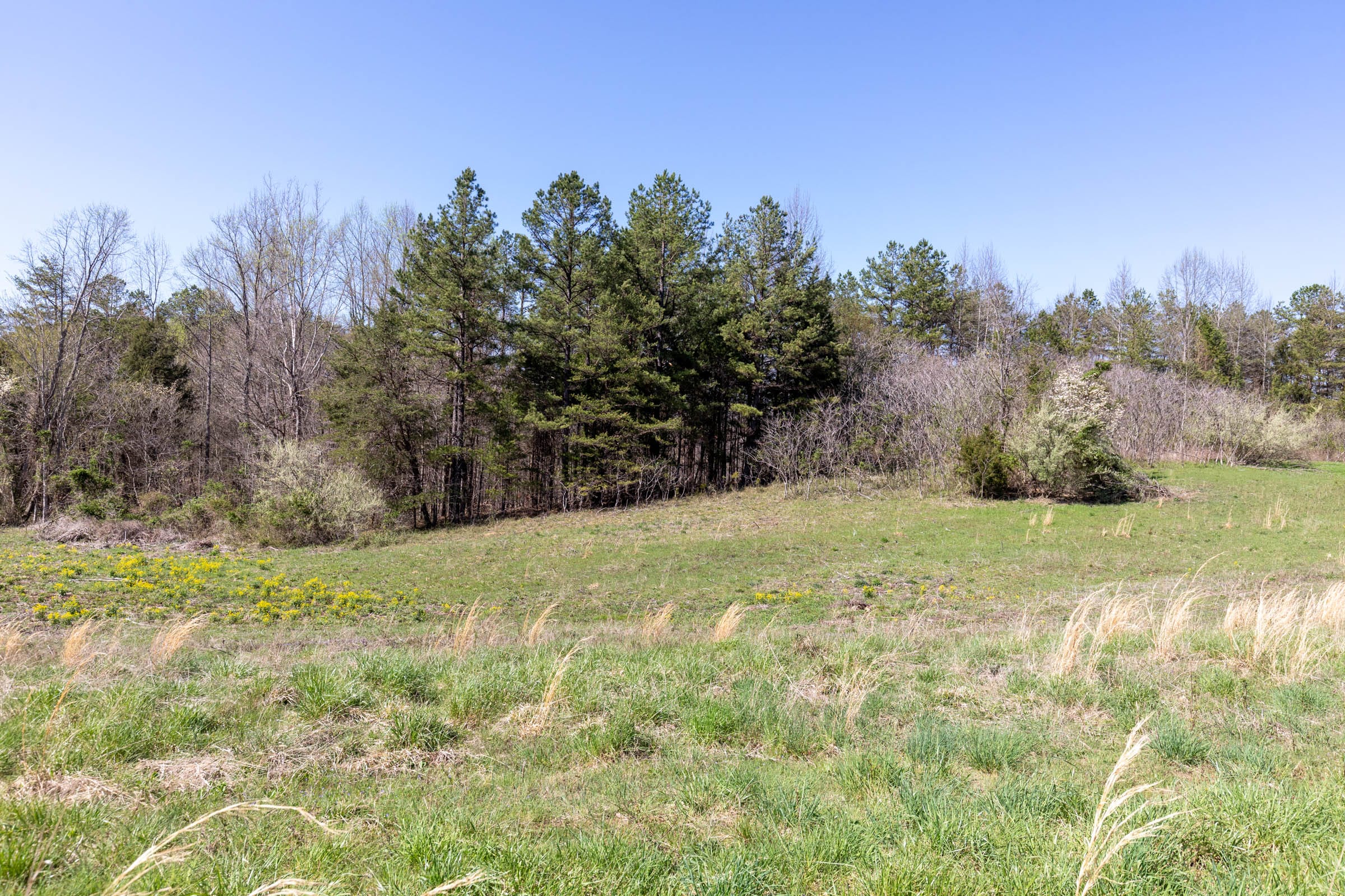 Woodland Heights Tract 16 photo 2