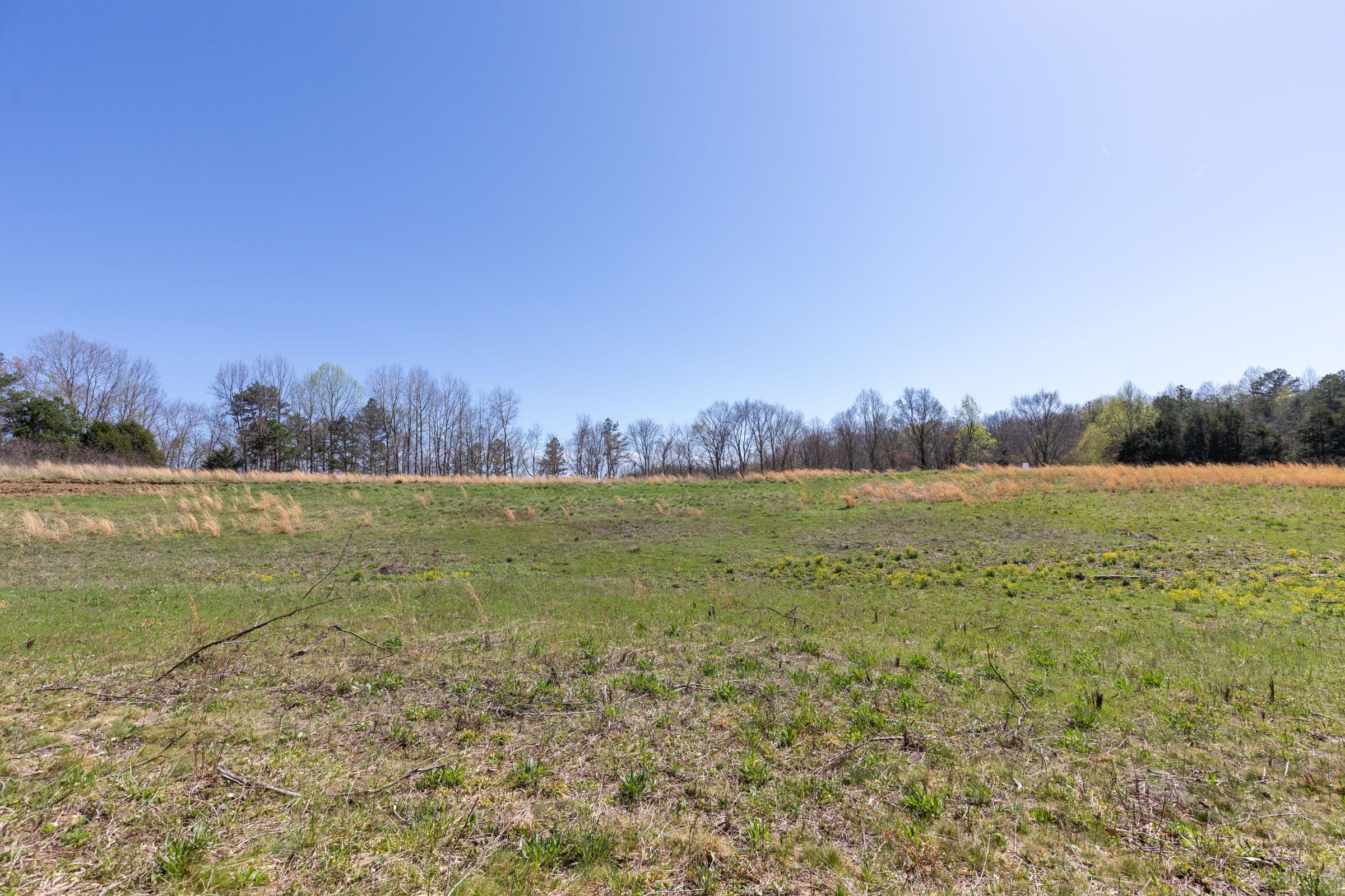Woodland Heights Tract 16 photo 4