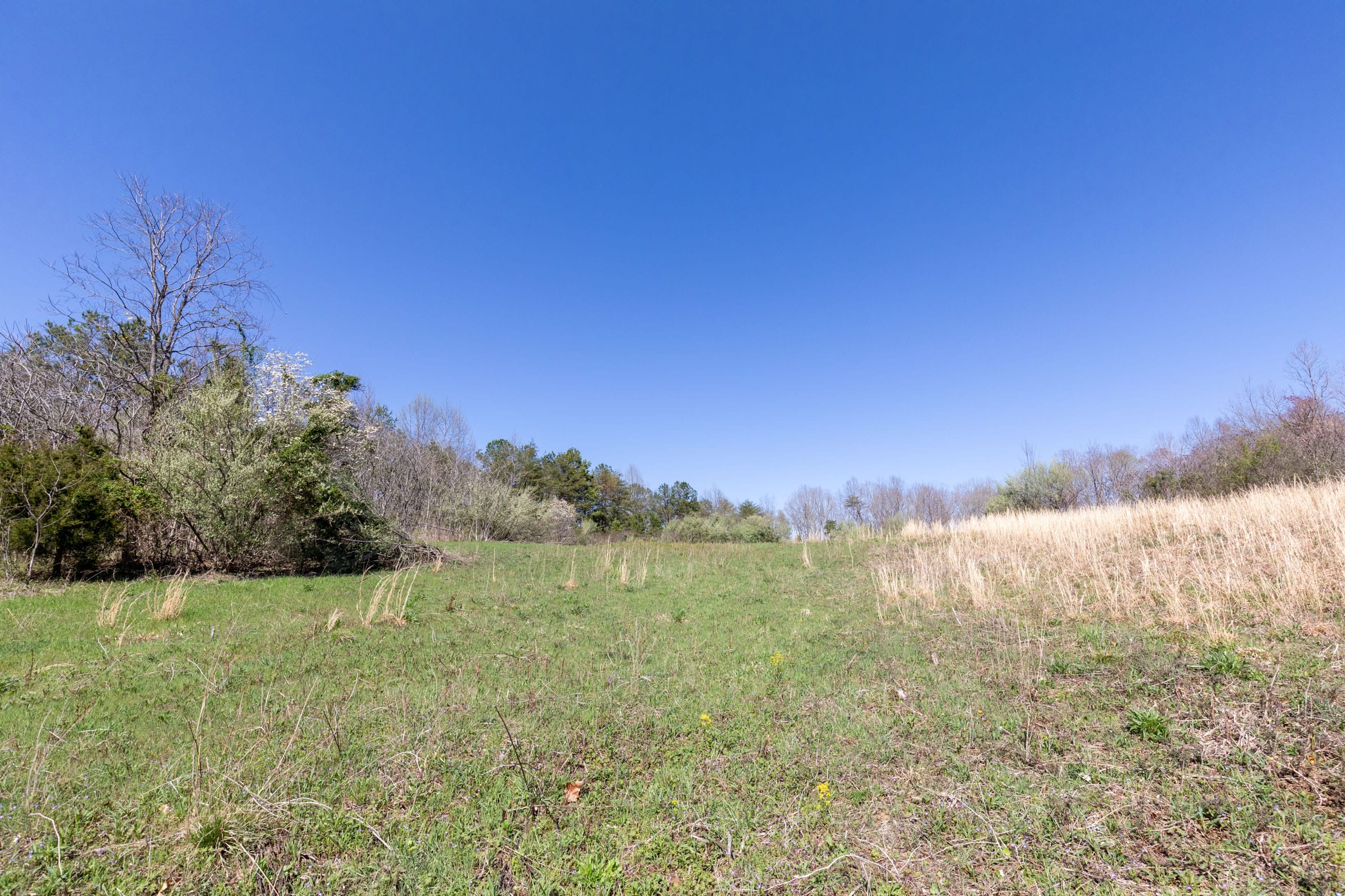 Woodland Heights Tract 16 photo 5
