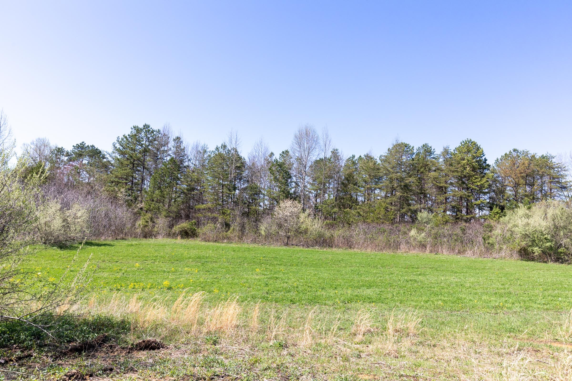 Woodland Heights Tract 16 photo 6