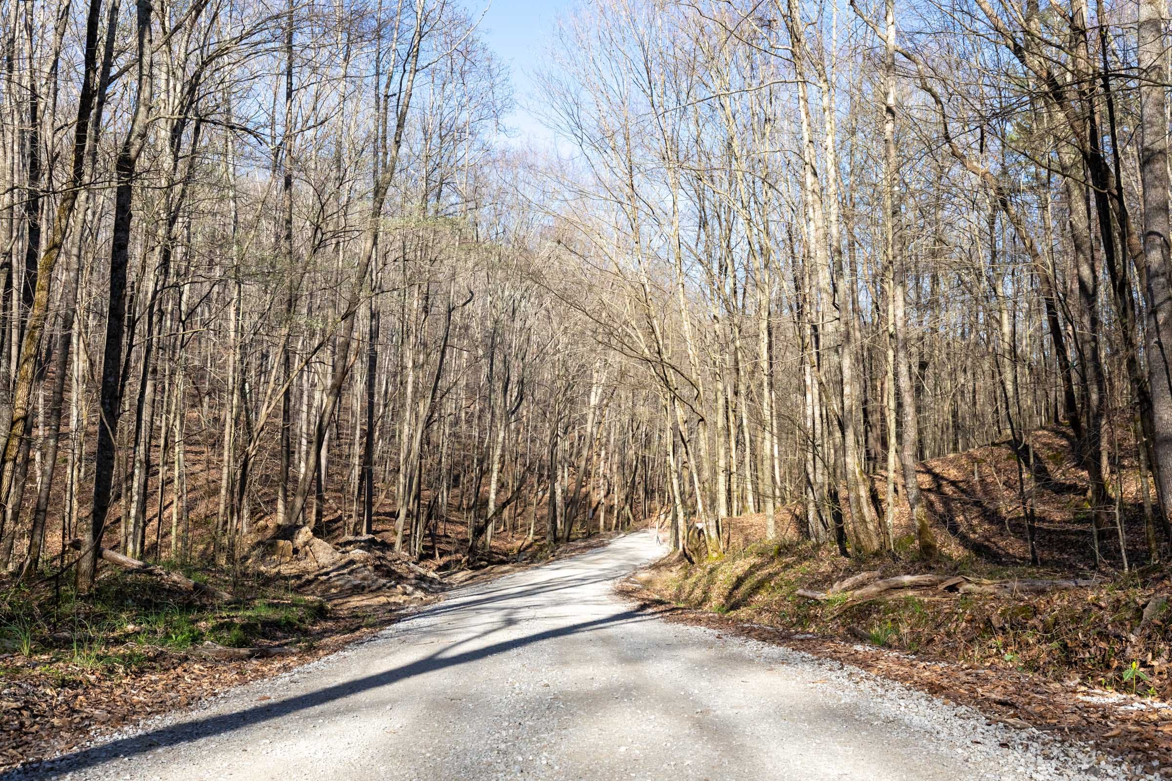 Woodland Heights Tract 16 photo 7