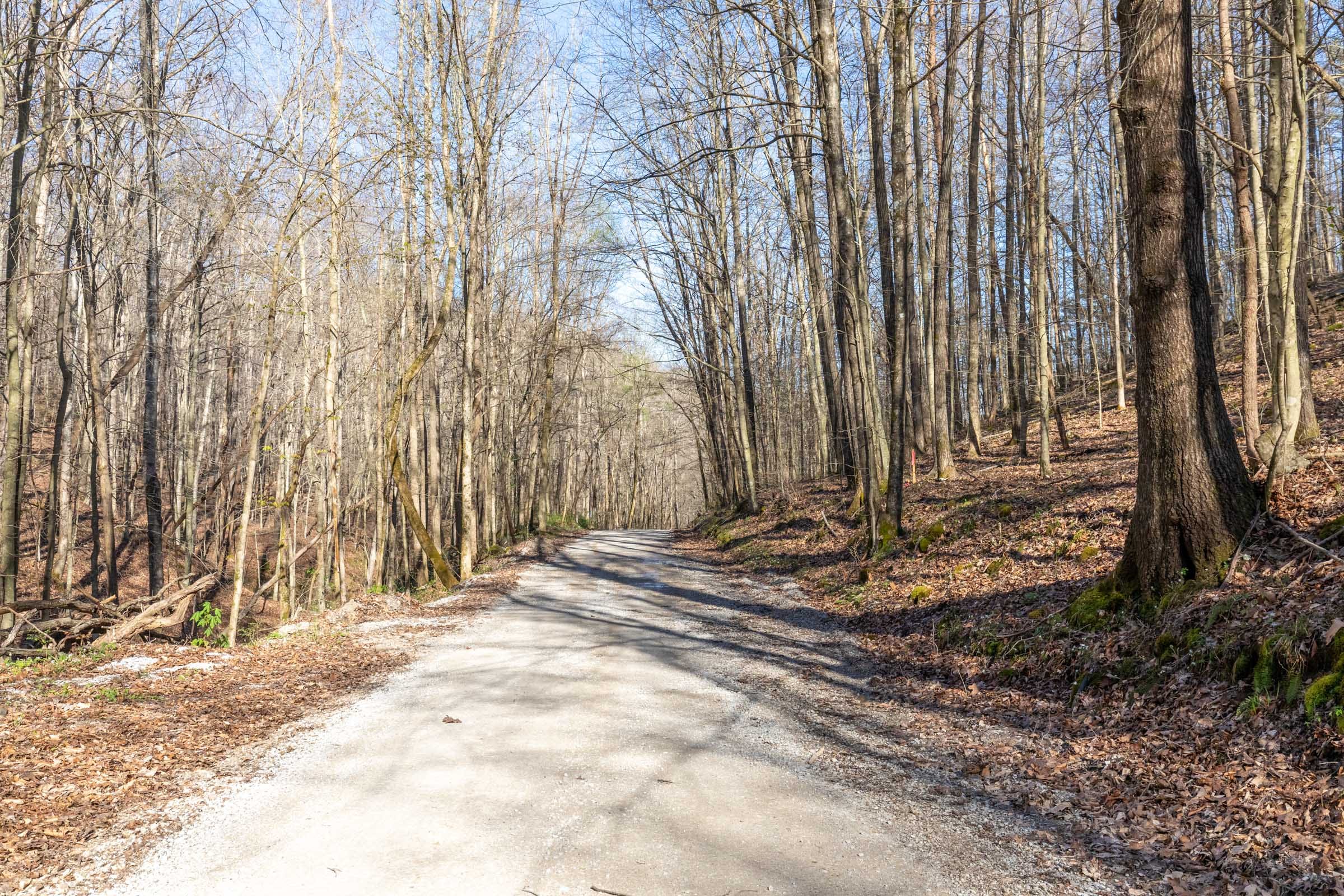 Woodland Heights Tract 16 photo 14