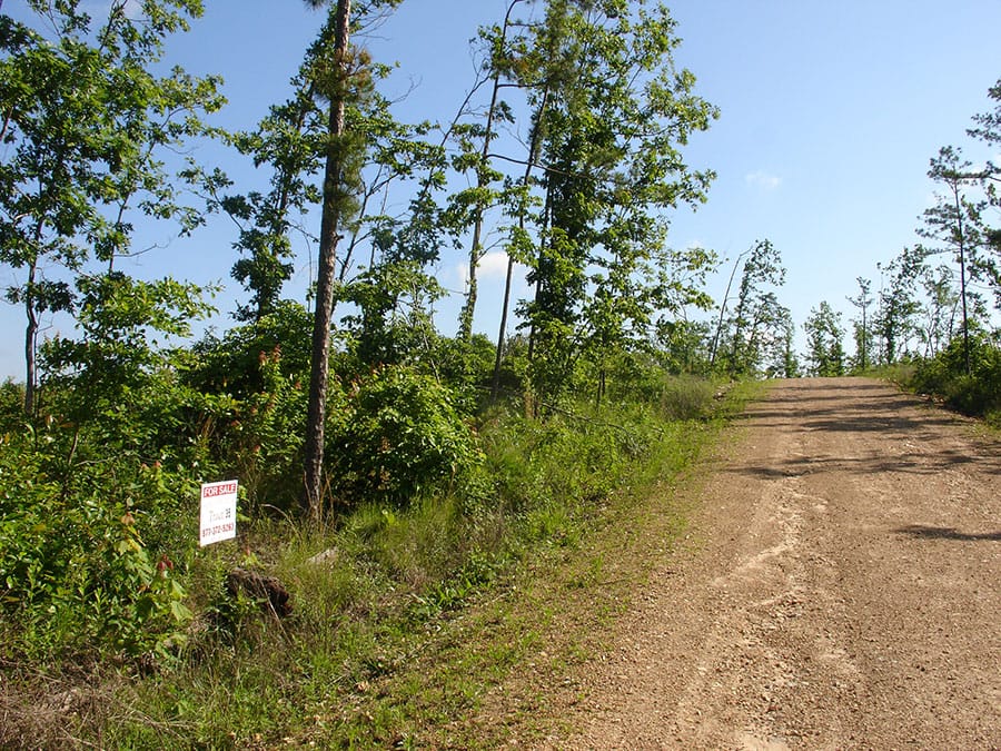 Antler Ridge Tract 35 photo 1
