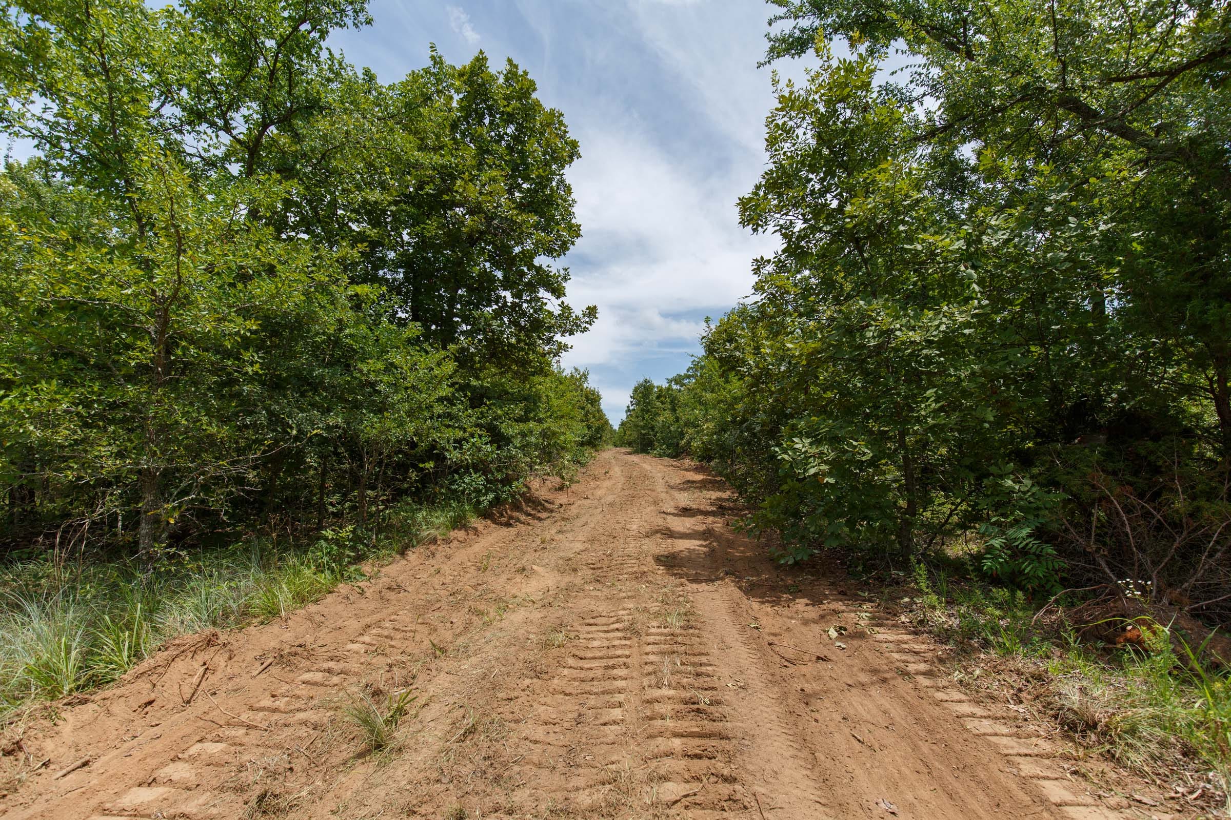 Timber Ridge Tract 6 photo 1