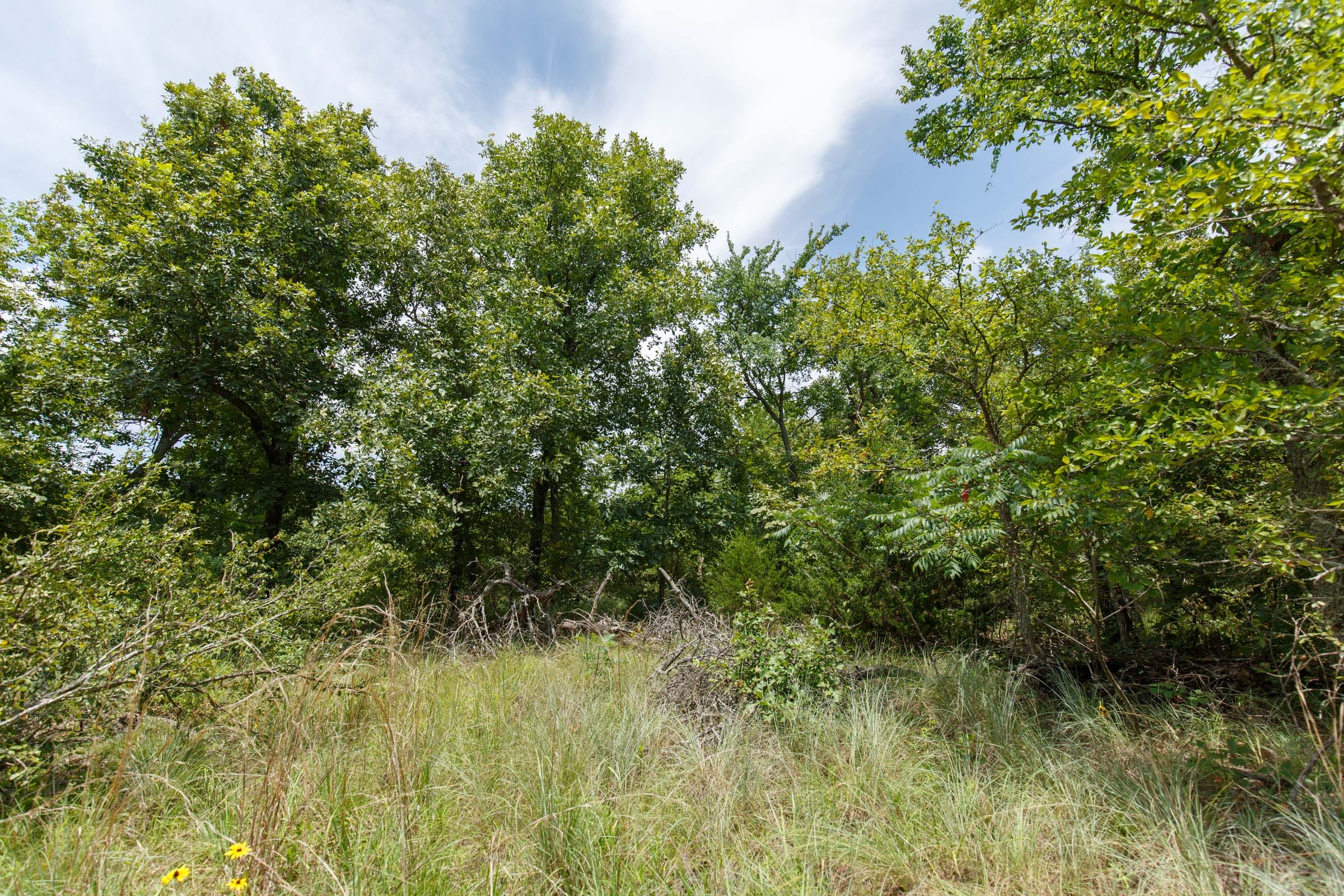 Timber Ridge Tract 6 photo 2