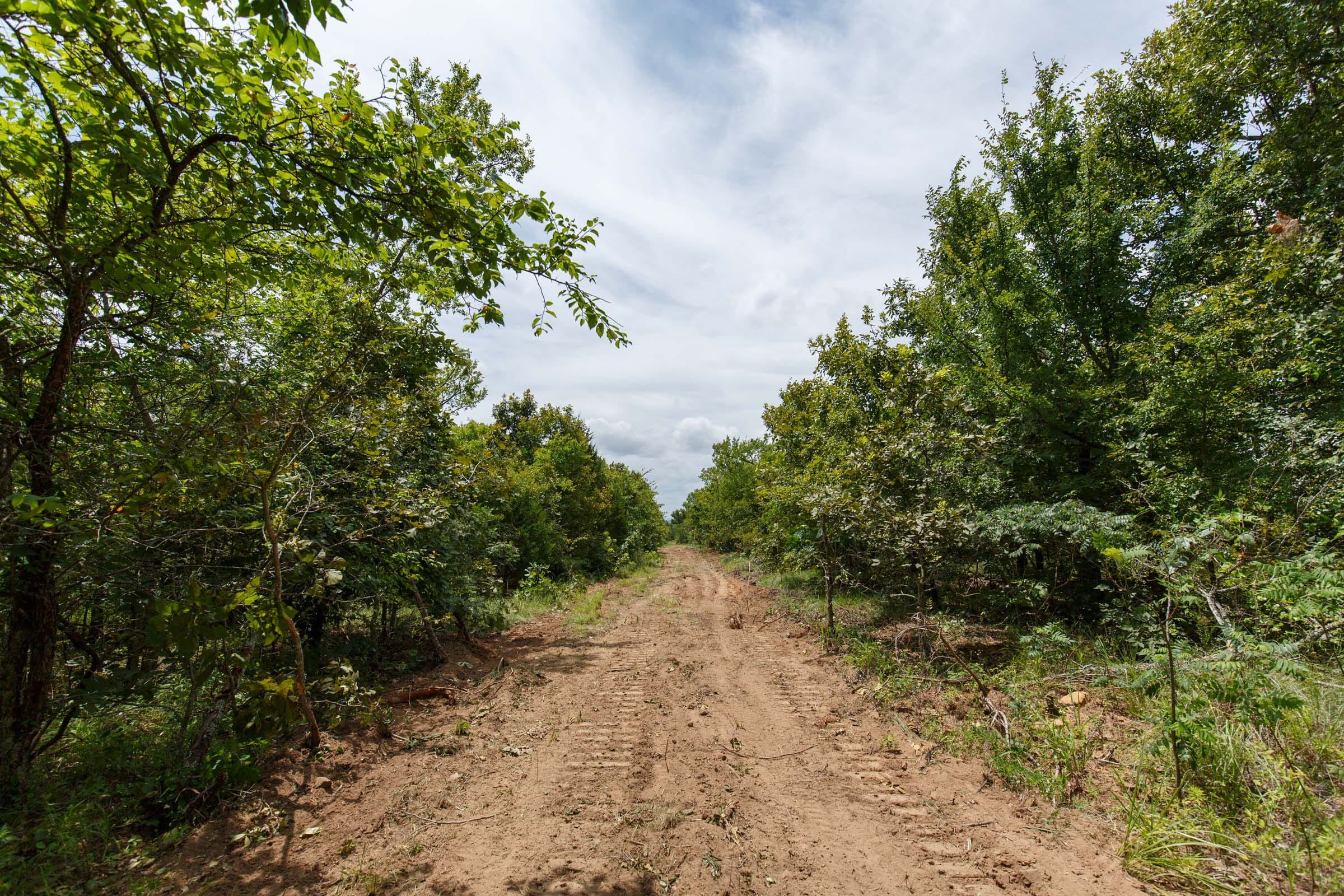Timber Ridge Tract 6 photo 5