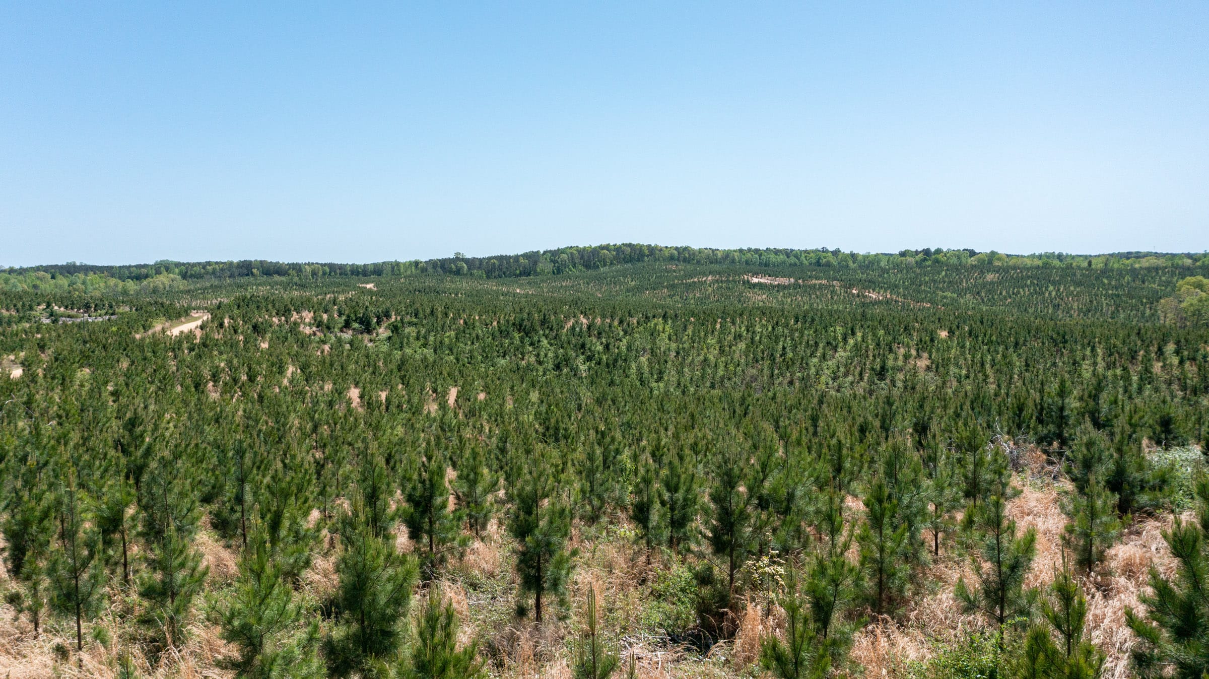Clear Wood Tract 29 photo 3