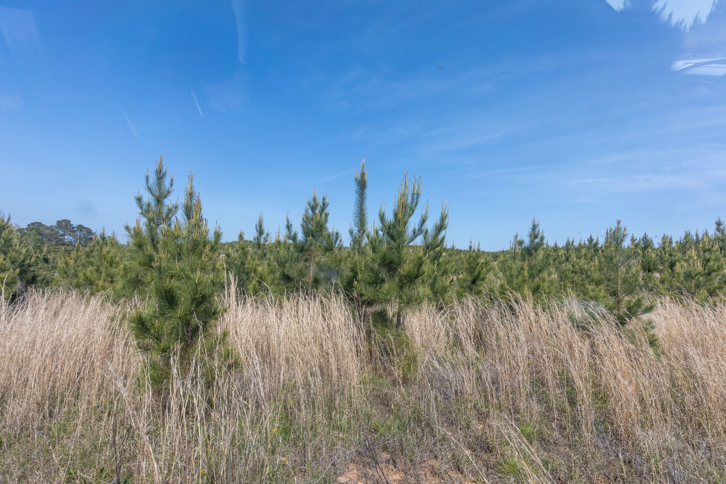 Clear Wood Tract 29 photo 8