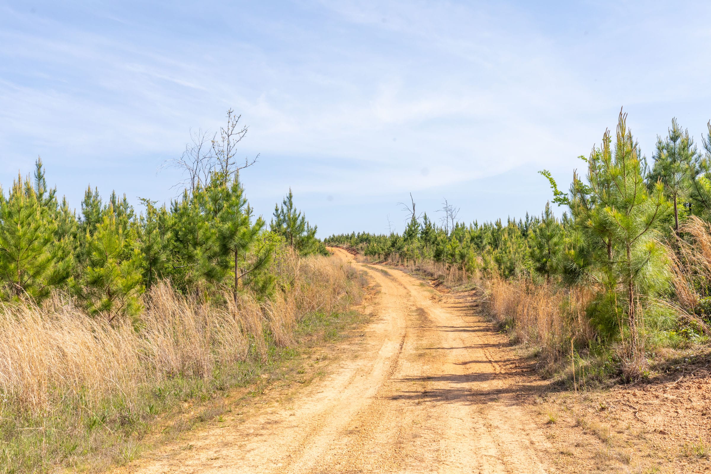 Clear Wood Tract 29 photo 1