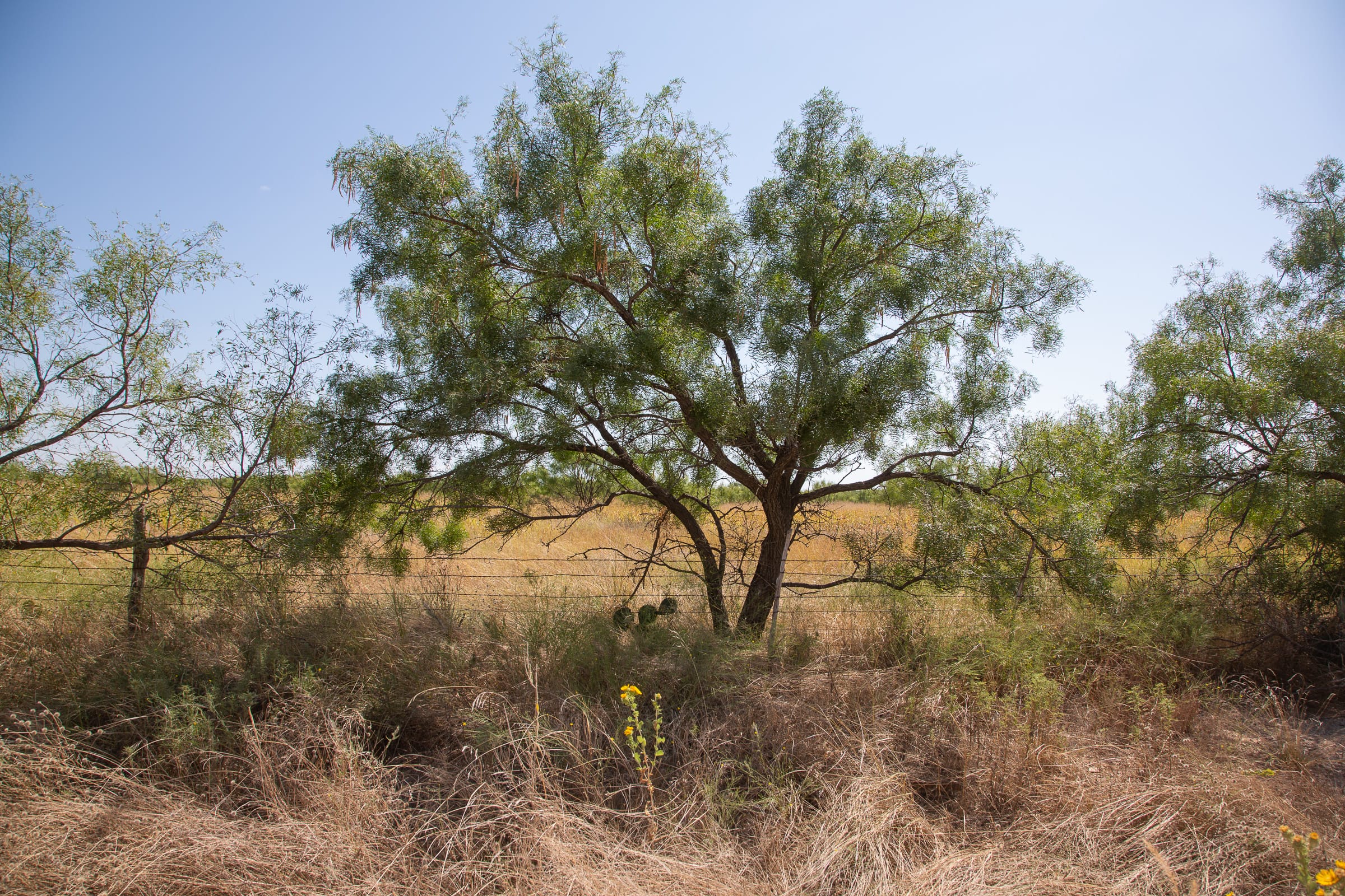 Hunter’s Ranch Tract 25 photo 2