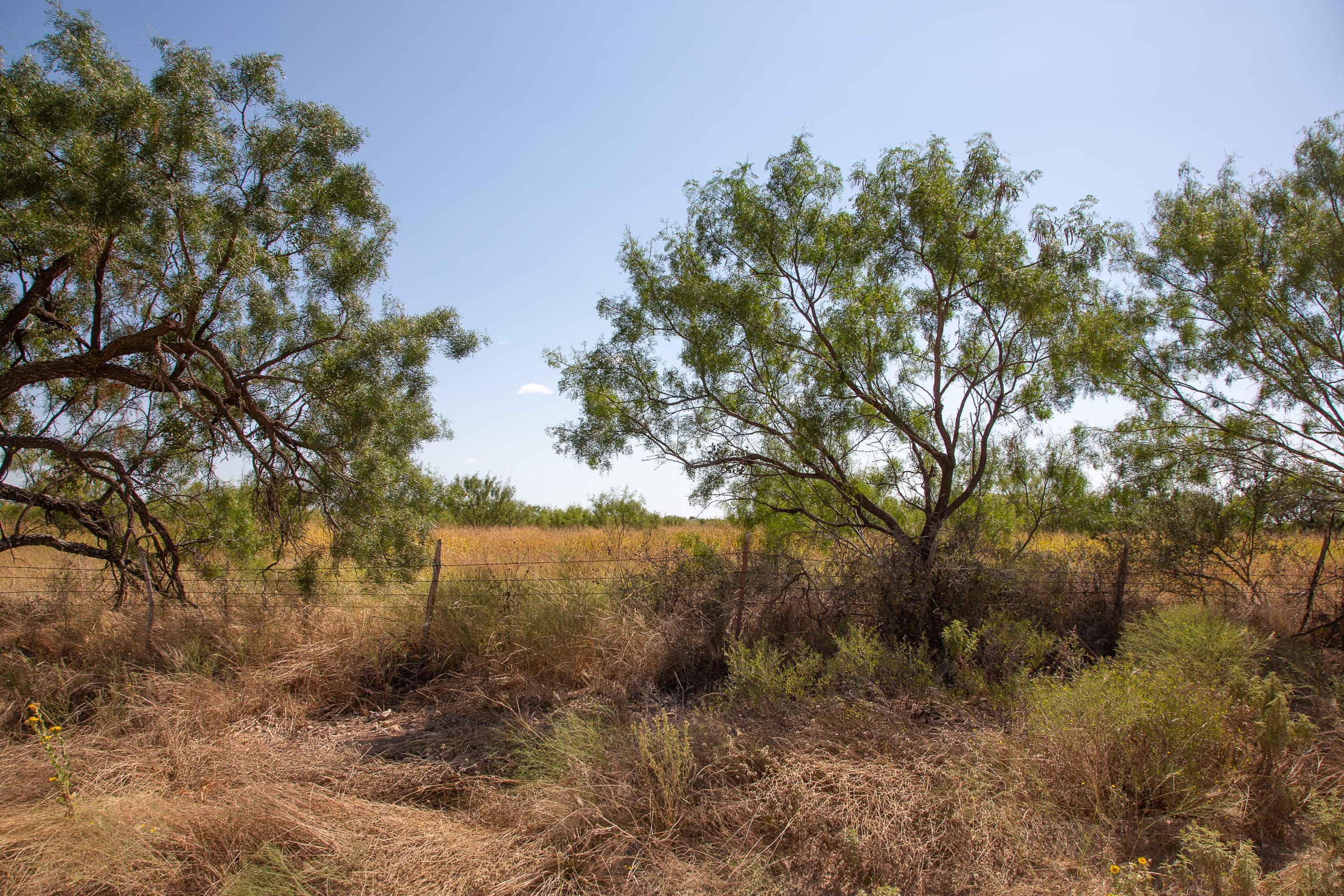Hunter’s Ranch Tract 25 photo 4