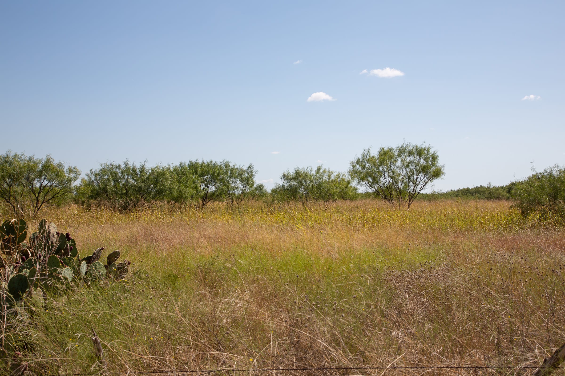 Hunter’s Ranch Tract 25 photo 5