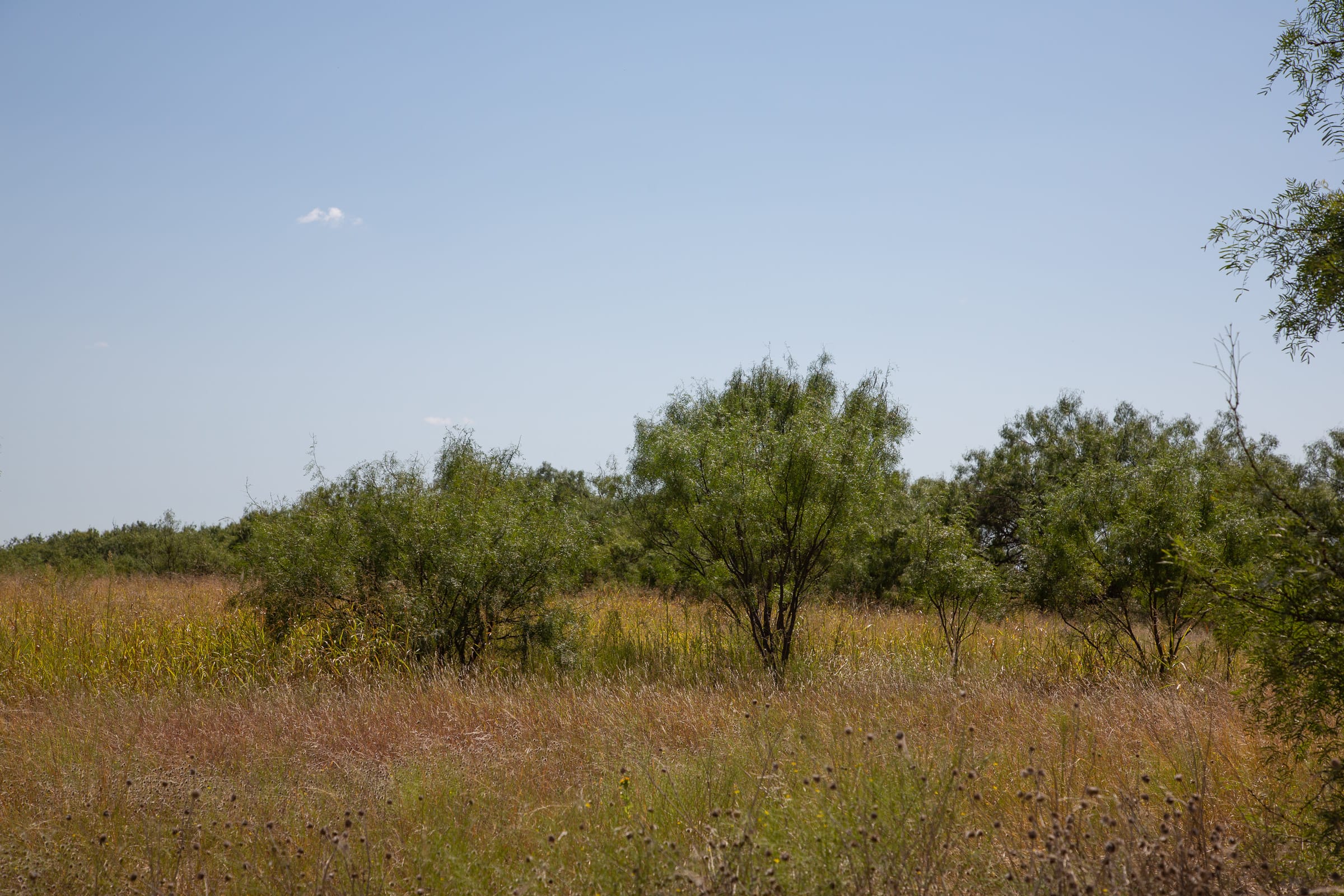 Hunter’s Ranch Tract 25 photo 6