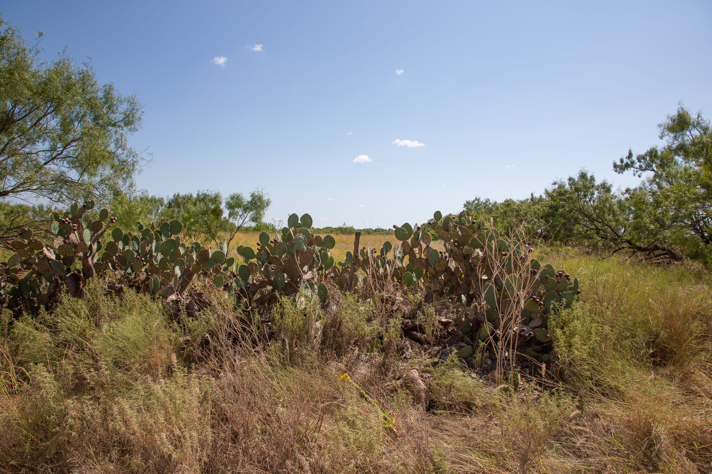 Hunter’s Ranch Tract 25 photo 7