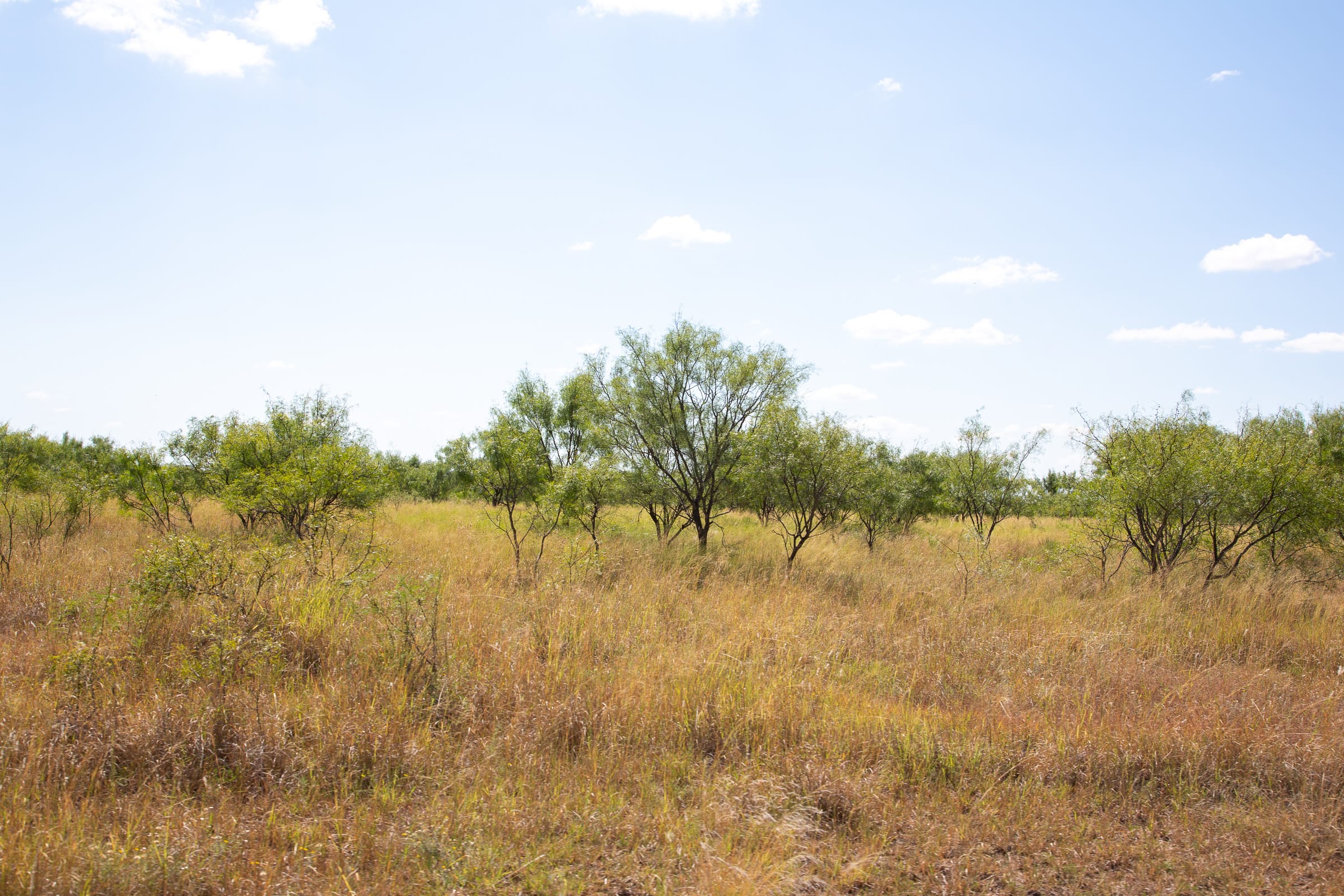 Hunter’s Ranch Tract 25 photo 9