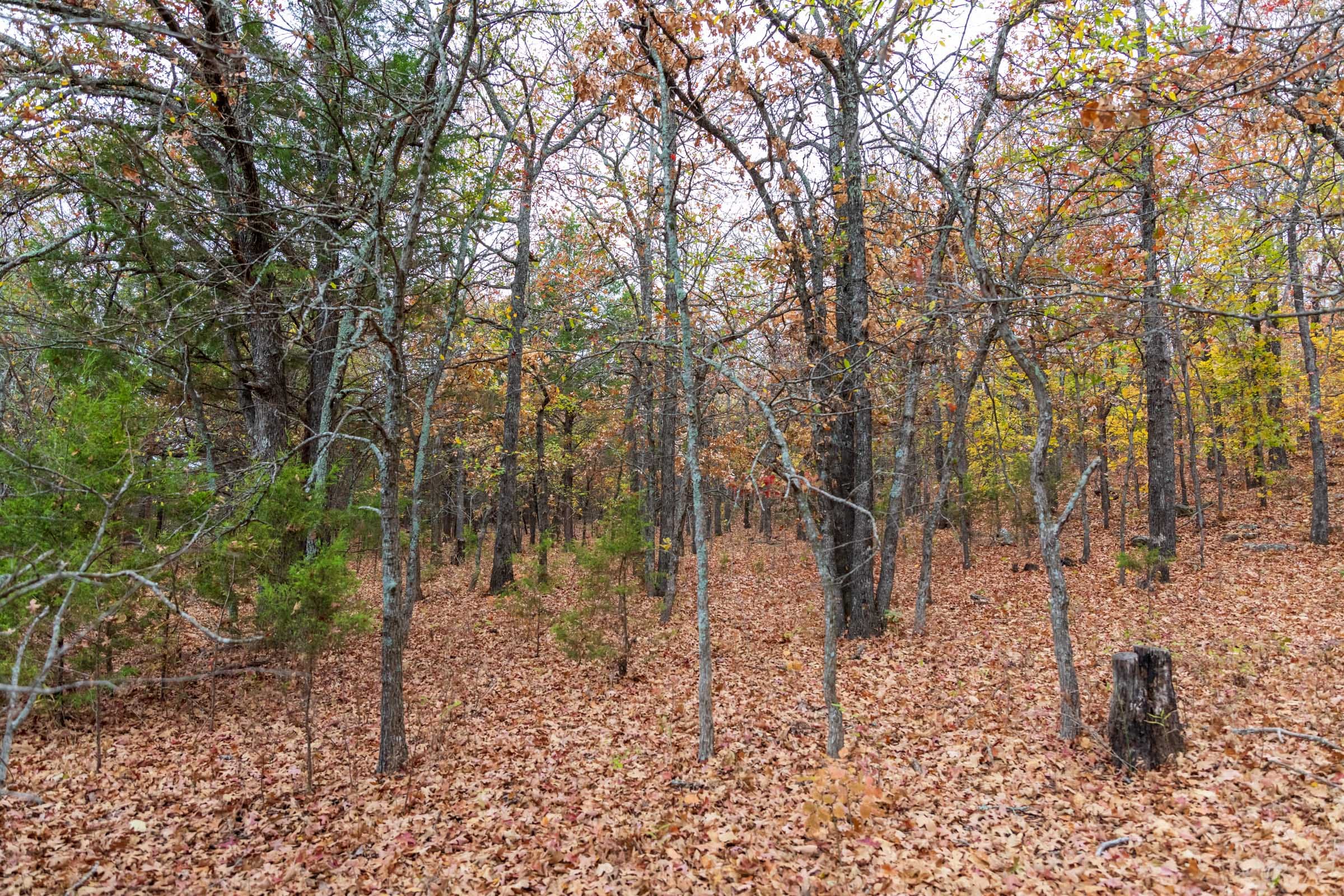Crystal Springs Tract 1 photo 2