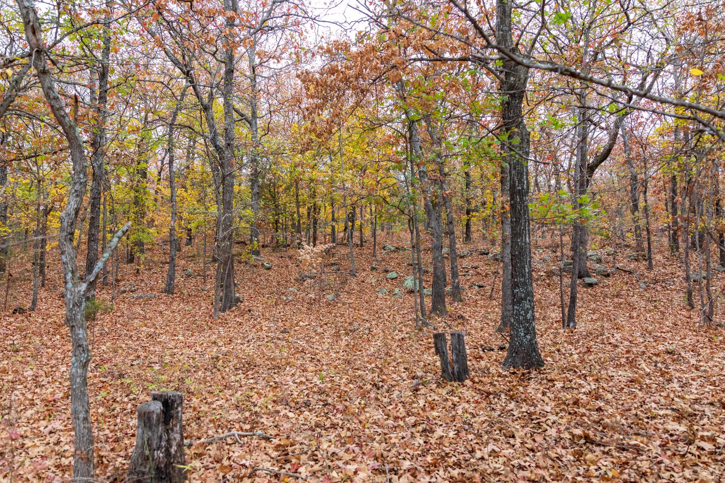 Crystal Springs Tract 1 photo 3