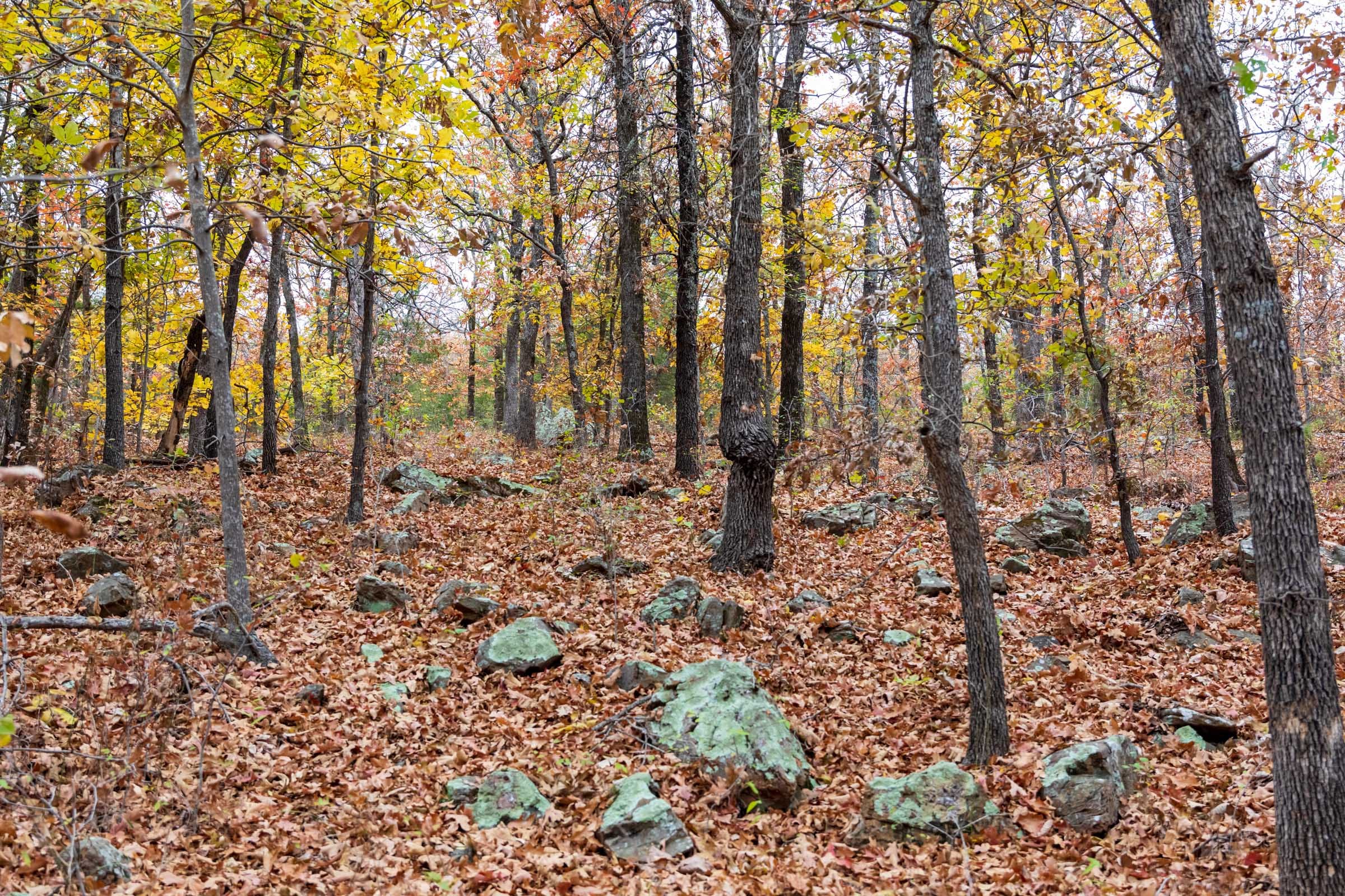 Crystal Springs Tract 1 photo 5