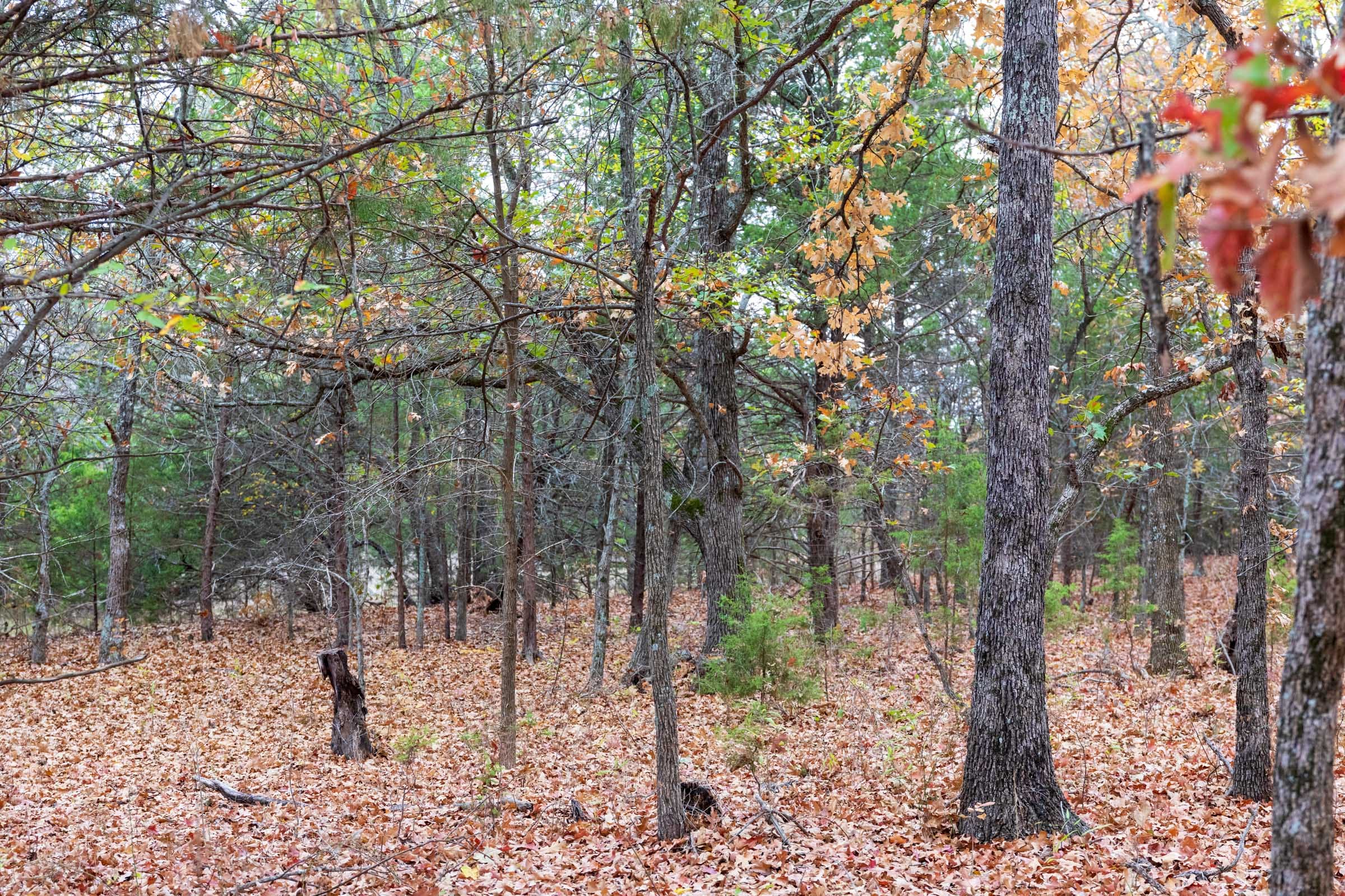 Crystal Springs Tract 1 photo 6