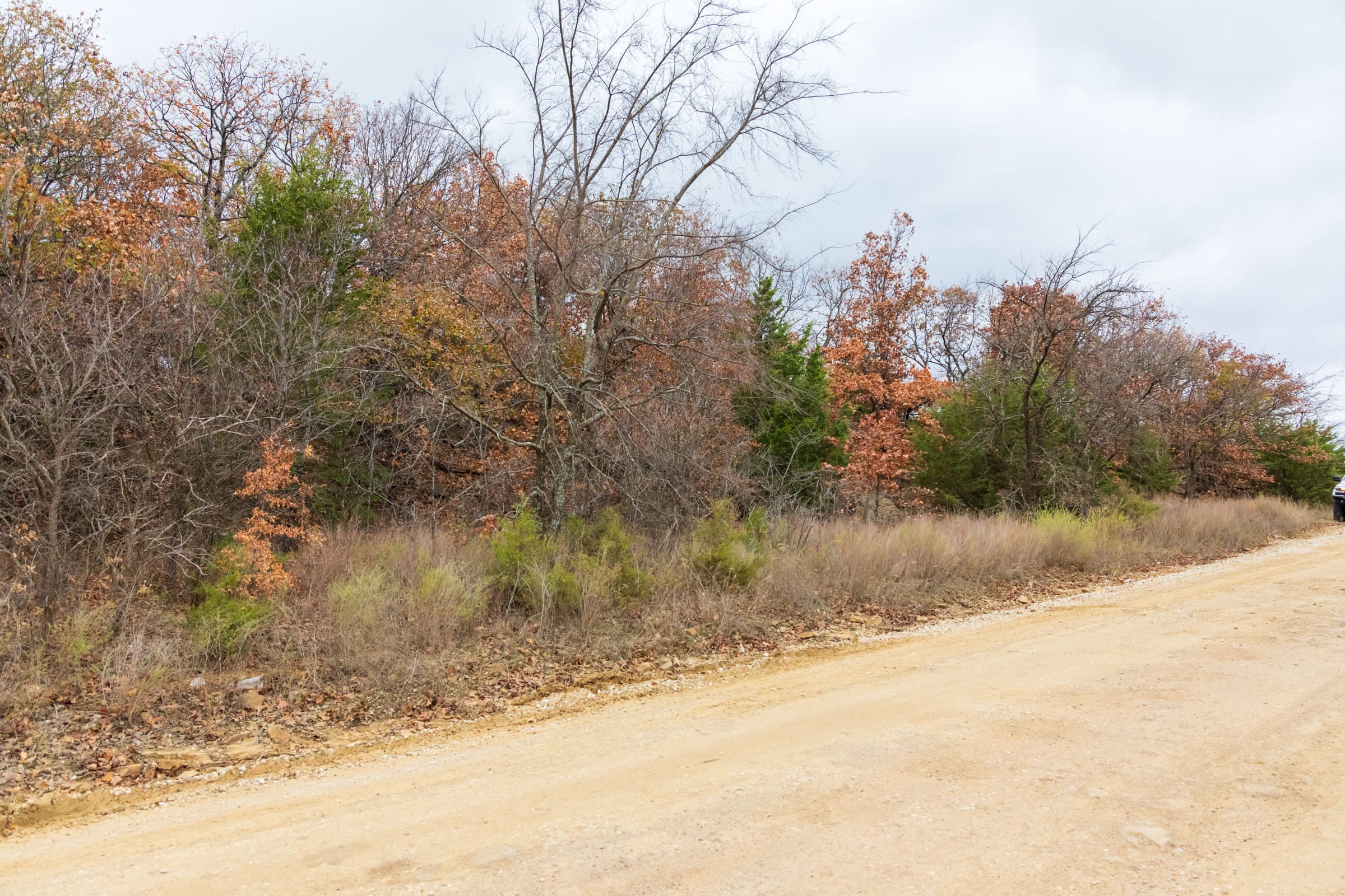 Crystal Springs Tract 1 photo 8