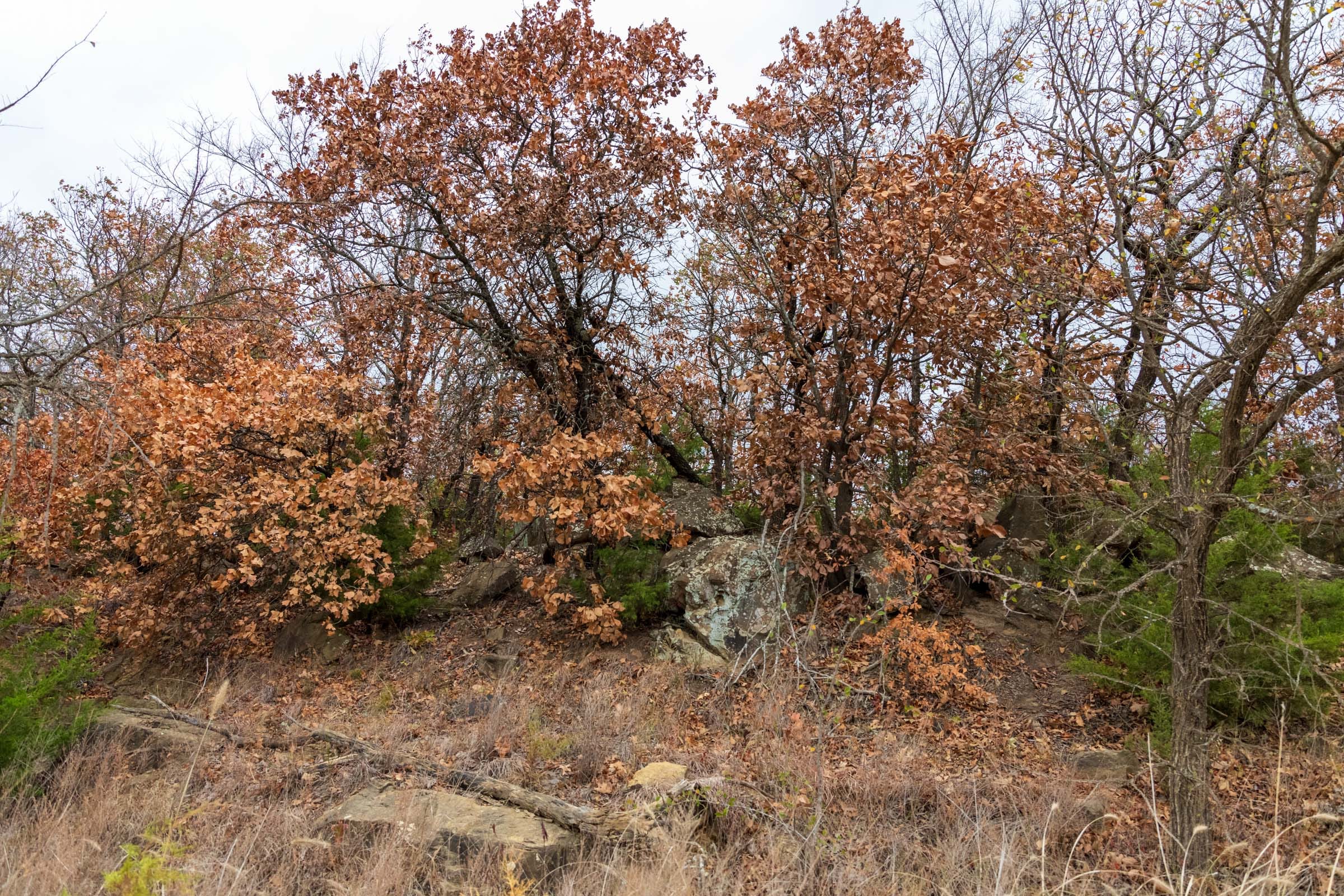 Crystal Springs Tract 1 photo 9