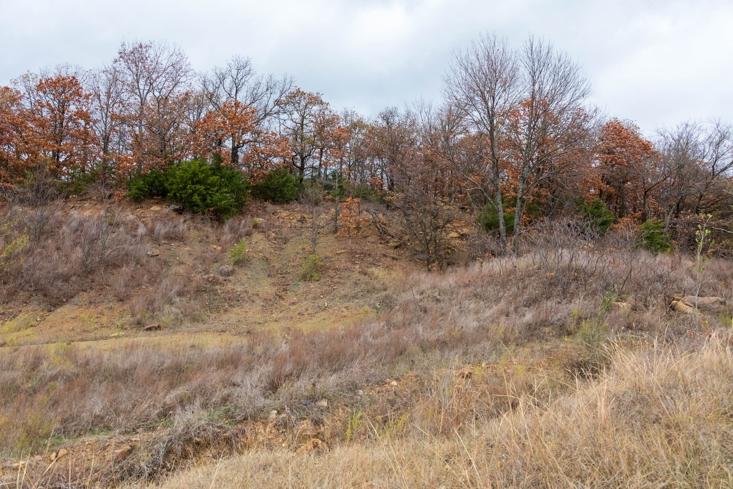 Crystal Springs Tract 1 photo 12