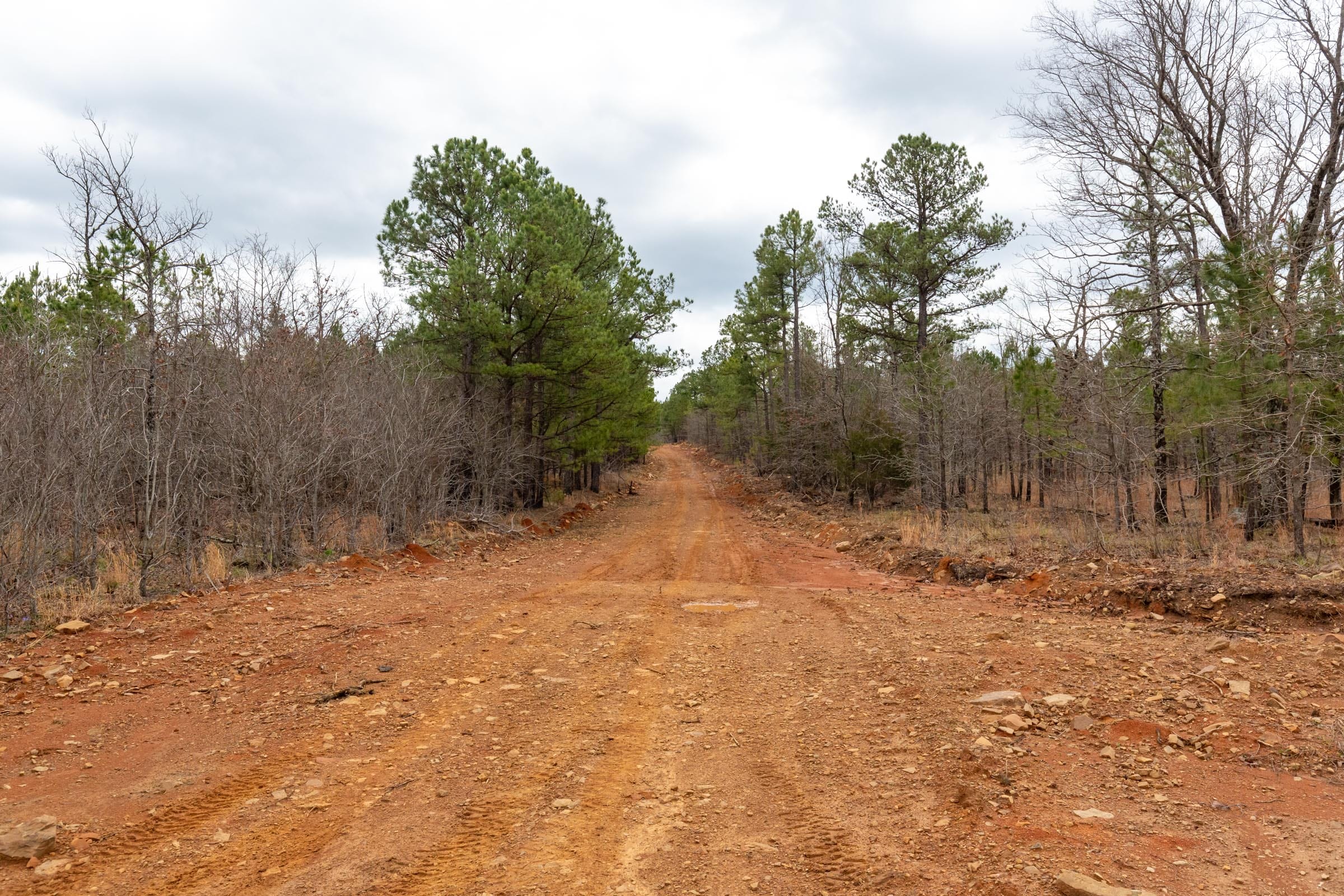 Stone Bridge Phase III Tract 194 photo 1