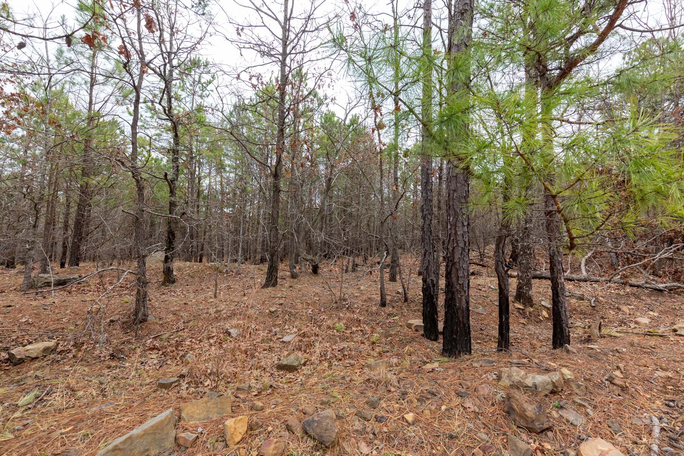 Stone Bridge Phase III Tract 194 photo 5
