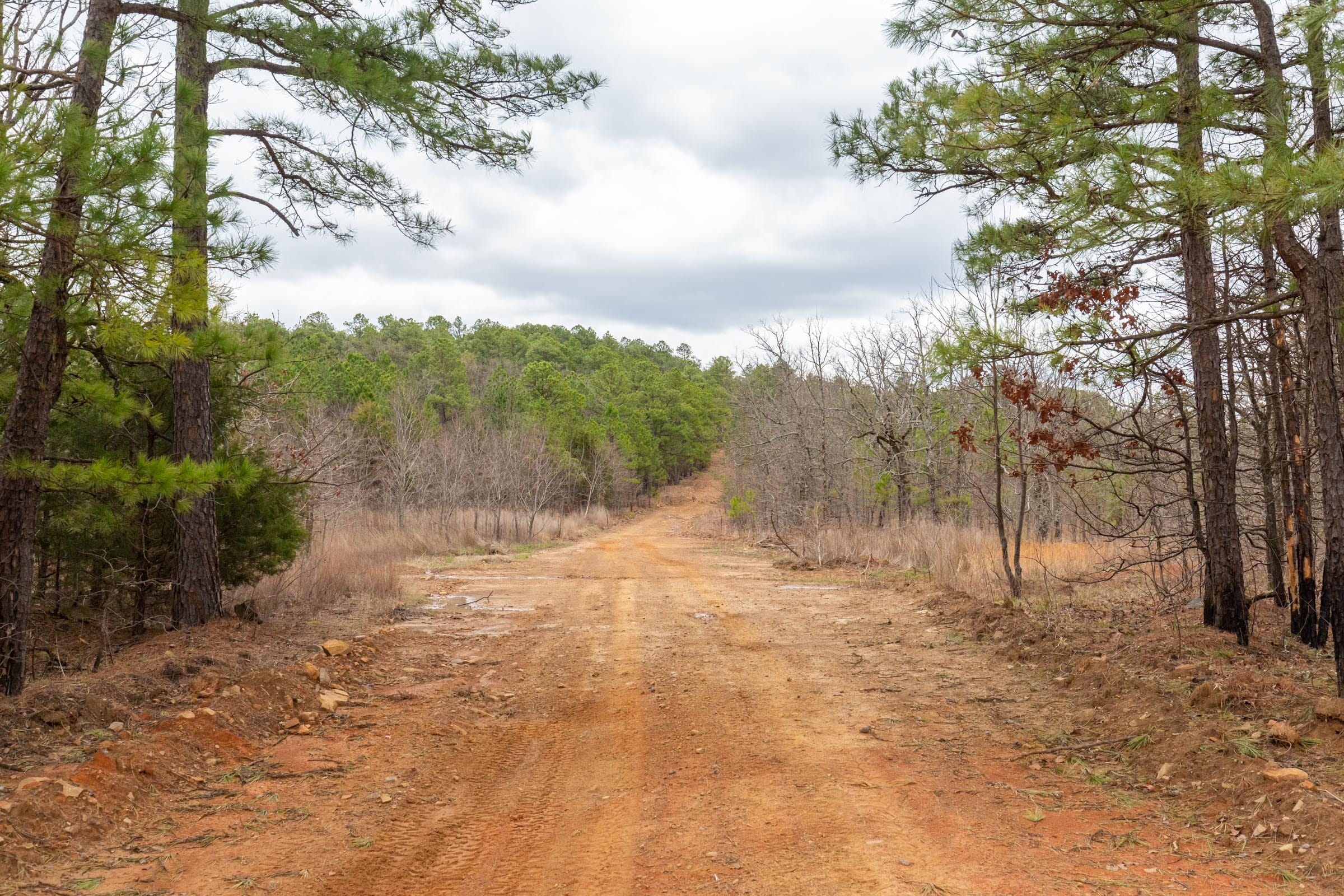 Stone Bridge Phase III Tract 194 photo 7