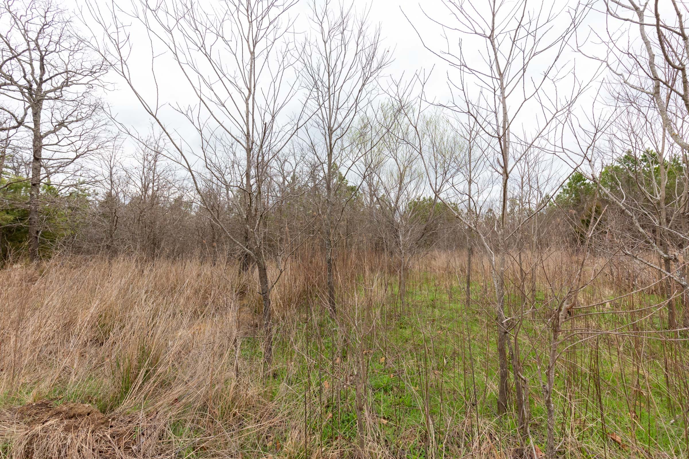Stone Bridge Phase III Tract 194 photo 6