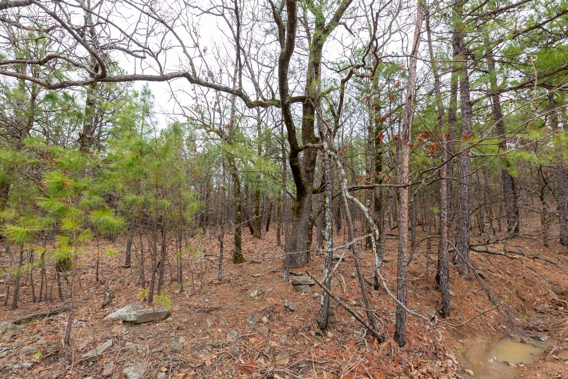 Stone Bridge Phase III Tract 194 photo 8
