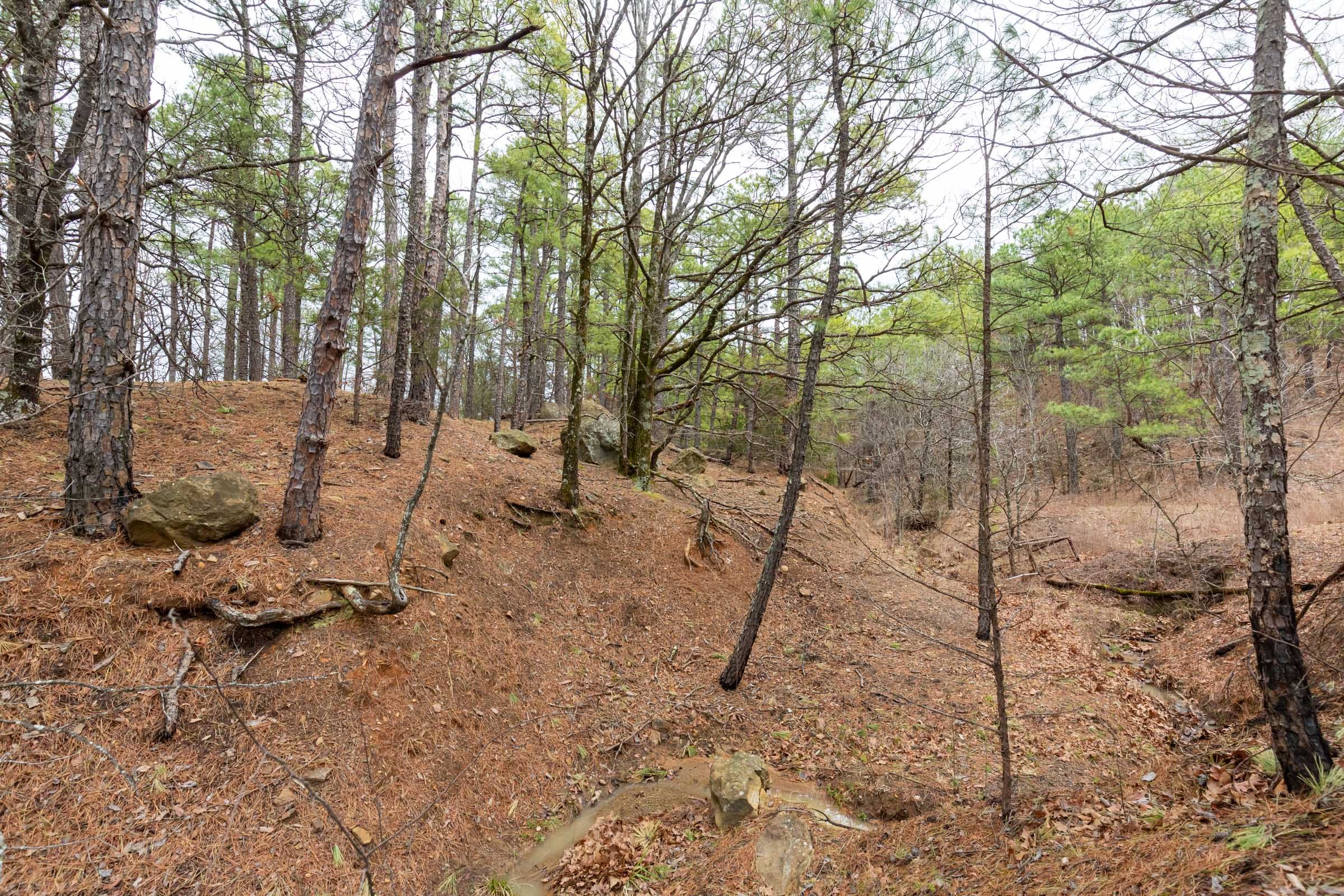Stone Bridge Phase III Tract 194 photo 9